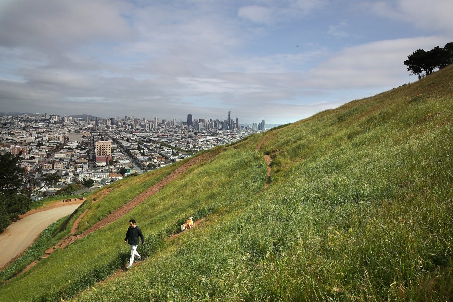 A man walks his dog at Bernal Heights Park in San Francisco in this file photo. (Justin Sullivan/Getty Images)