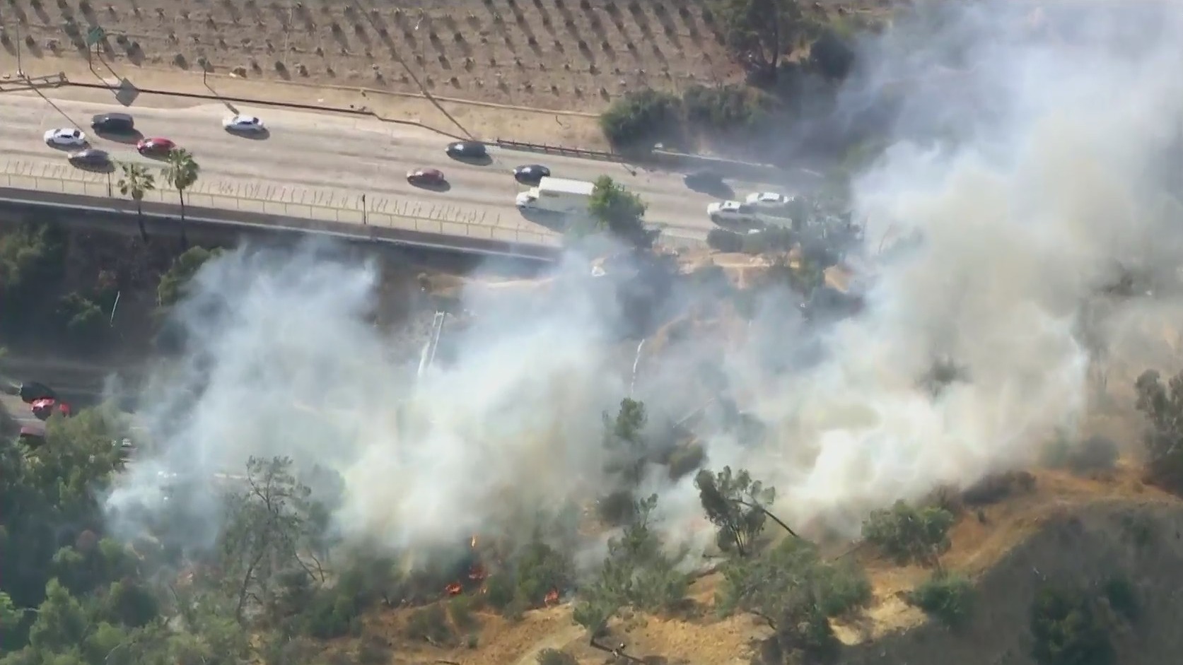 A brush fire burns along the 110 Freeway in Elysian Park on May 21, 2021. (KTLA)