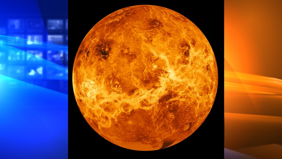 This image made available by NASA shows the planet Venus made with data produced by the Magellan spacecraft and Pioneer Venus Orbiter from 1990 to 1994. On Monday, June 28, 2021, European and U.S. scientists released a study saying there isn’t nearly enough water vapor in the scorching hot planet’s clouds to support life as we know it. (NASA/JPL-Caltech via AP)