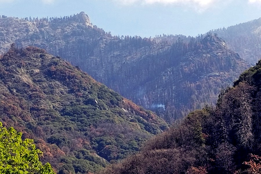 This April 22, 2021 file photo, provided by the National Park Service, shows a view of Sequoia National Park. (Tony Caprio/National Park Service via AP, File)