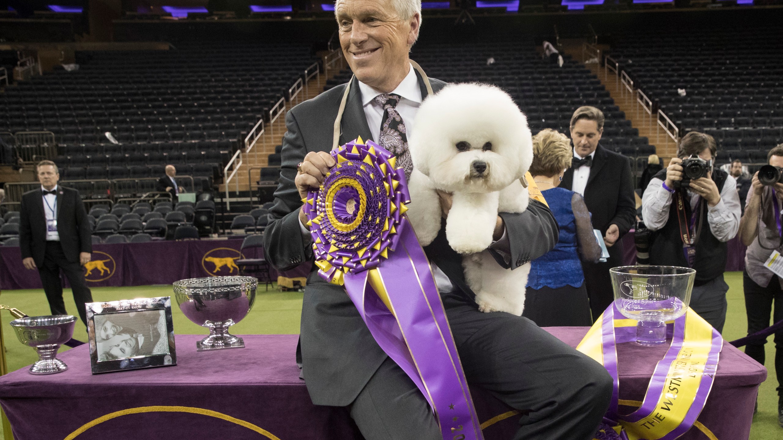 In this Feb. 13, 2018, file photo, handler Bill McFadden poses for photos with Flynn, a bichon frise, after Flynn won best in show during the 142nd Westminster Kennel Club Dog Show, Tuesday, Feb. 13, 2018, at Madison Square Garden in New York. McFadden, who has guided two Westminster winners, was rear-ended and injured while driving a van full of dogs cross-country to the show, his wife and fellow star handler, Taffe McFadden, said Saturday, June 12, 2021. (AP Photo/Mary Altaffer, File)