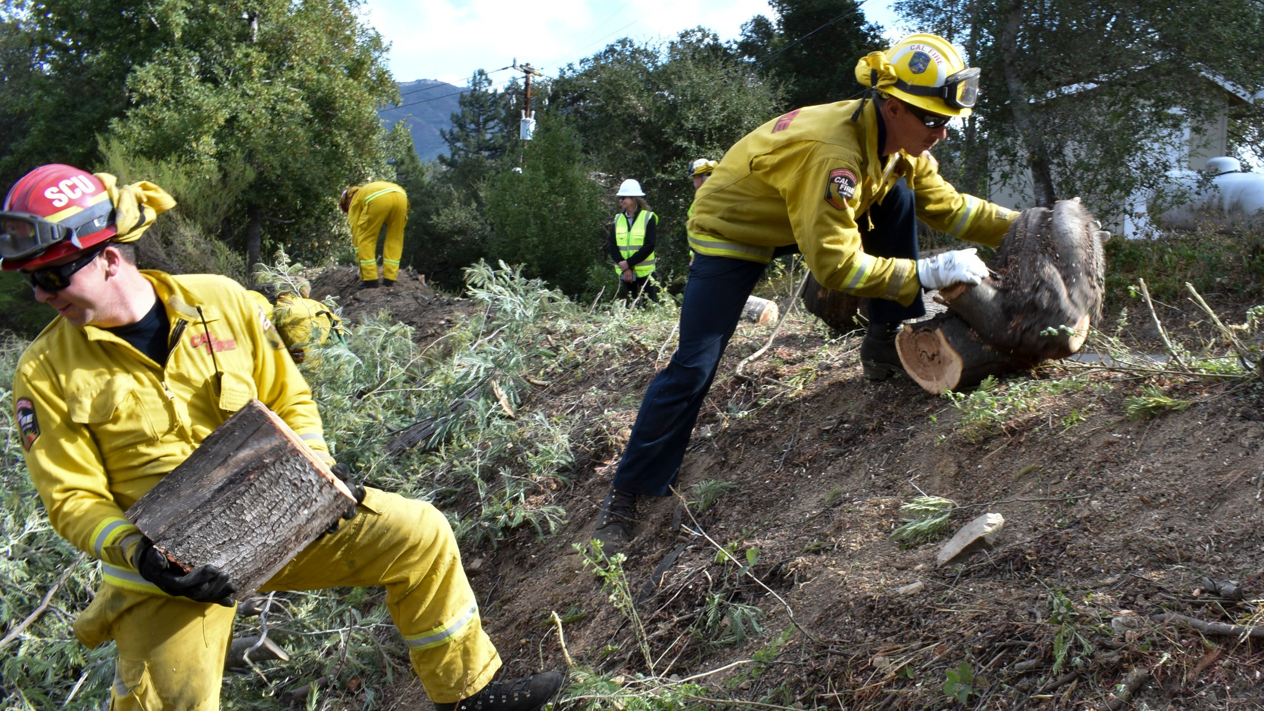 In this Nov. 20, 2019, file photo a fire prevention crew hauls away sections of a tree they cut down near Redwood Estates, Calif. California Gov. Gavin Newsom has vastly overstated wildfire prevention work done under his administration according to an investigation by Capital Public Radio published Wednesday, June, 23, 2021. (AP Photo/Matthew Brown, File)