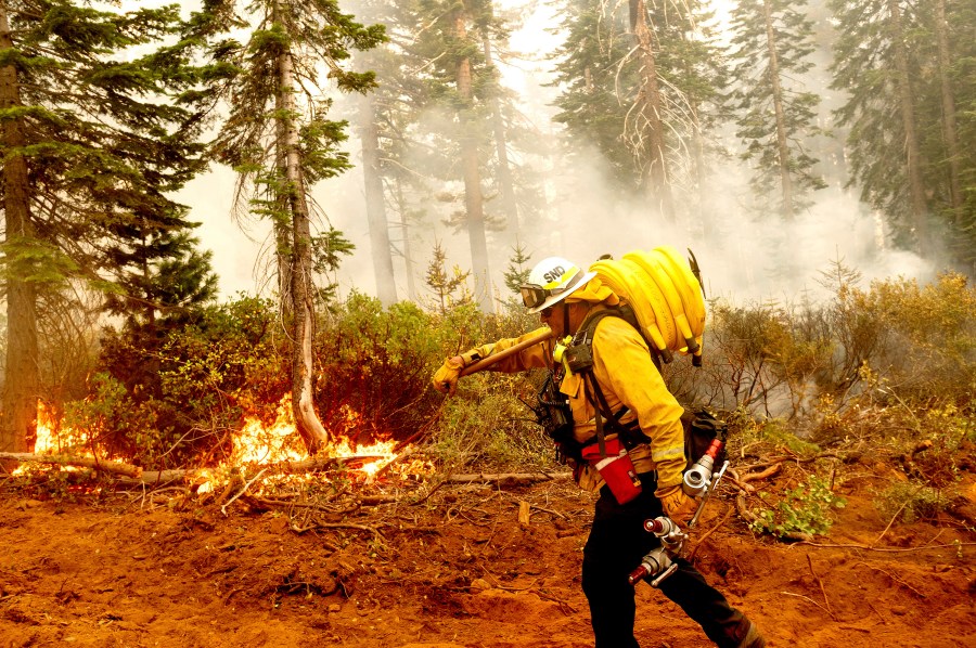 In this Sept. 14, 2020, file photo Cal Fire Battalion Chief Craig Newell carries a hose while battling the North Complex Fire in Plumas National Forest, Calif. (AP Photo/Noah Berger,File)