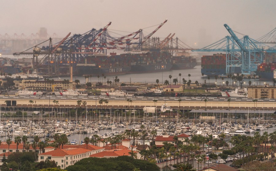 In this Wednesday, March 3, 2021 file photo, container cargo ships are seen docked in the Port of Los Angeles. (AP Photo/Damian Dovarganes, File)