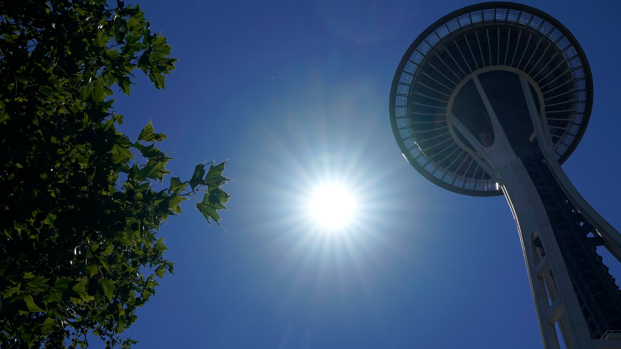 The sun shines near the Space Needle, Monday, June 28, 2021, in Seattle. Seattle and other cities broke all-time heat records over the weekend, with temperatures soaring well above 100 degrees Fahrenheit (37.8 Celsius). (AP Photo/Ted S. Warren)