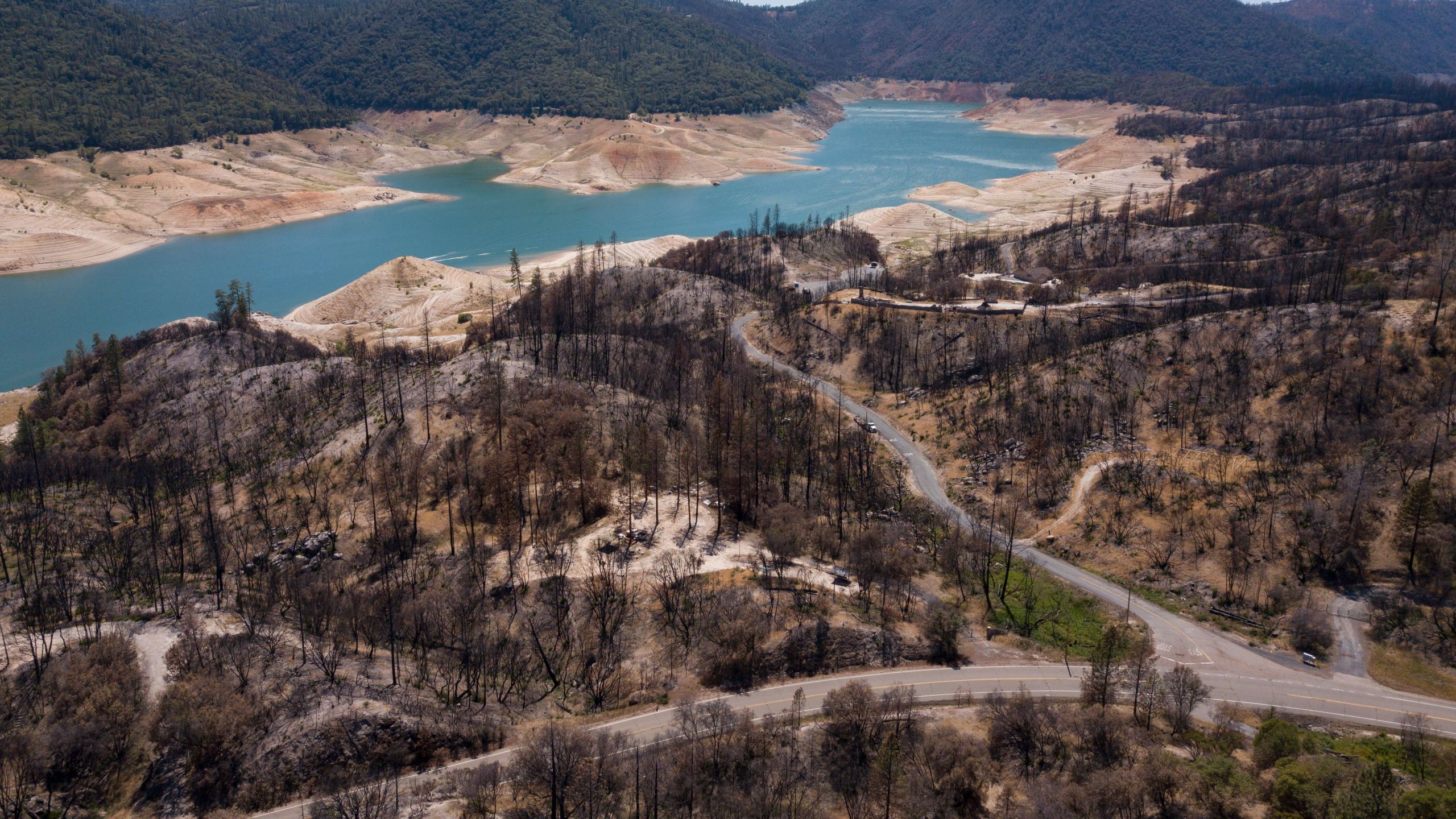 In this aerial image, dead trees burned in a wildfire stand as dry land is exposed on the banks of Lake Oroville reservoir due to low water levels during the California drought emergency on May 25, 2021 in Oroville, California. (Patrick T. Fallon/AFP via Getty Images)