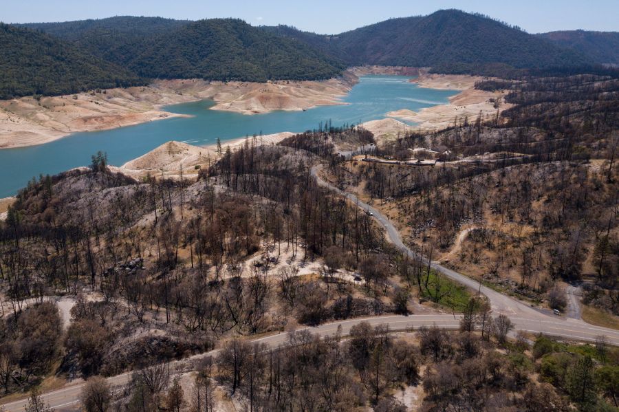 In this aerial image, dead trees burned in a wildfire stand as dry land is exposed on the banks of Lake Oroville reservoir due to low water levels during the California drought emergency on May 25, 2021 in Oroville, California. (Patrick T. Fallon/AFP via Getty Images)