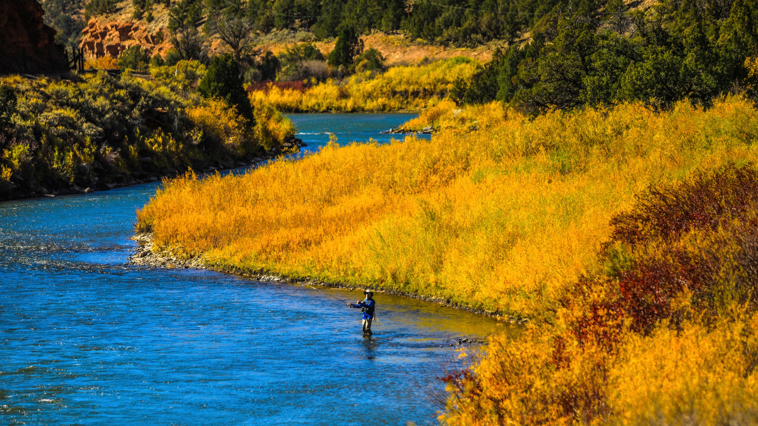 In this Oct. 14, 2020 file photo, a fisherman tries his luck in the Colorado River near Burns, Colo. (Chris Dillmann/Vail Daily via Associated Press)