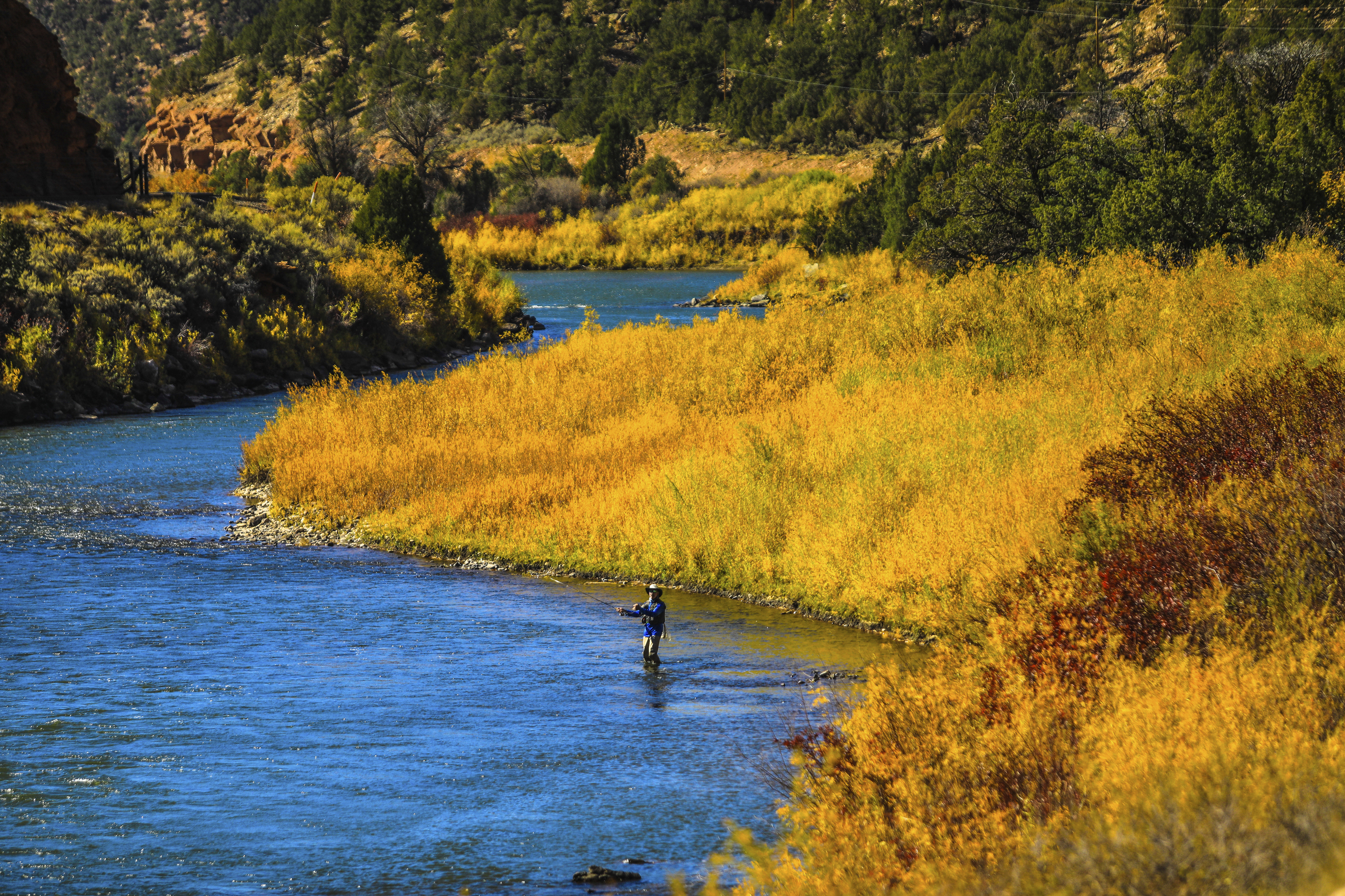 In this Oct. 14, 2020 file photo, a fisherman tries his luck in the Colorado River near Burns, Colo. (Chris Dillmann/Vail Daily via Associated Press)