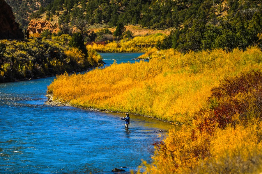 In this Oct. 14, 2020 file photo, a fisherman tries his luck in the Colorado River near Burns, Colo. (Chris Dillmann/Vail Daily via Associated Press)