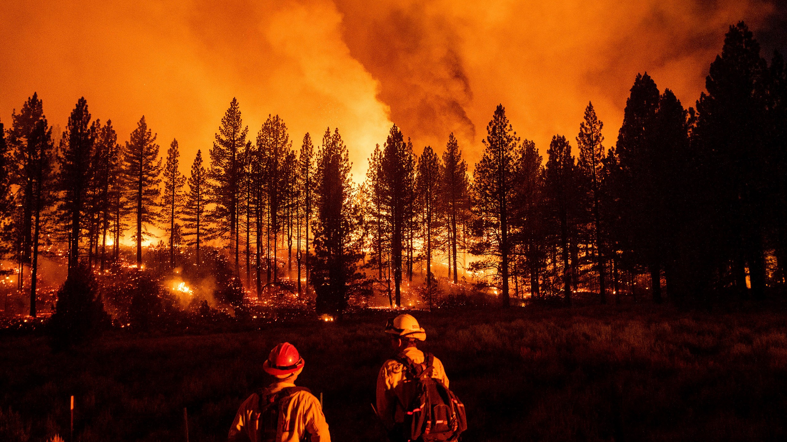 Firefighters monitor the Sugar Fire, part of the Beckwourth Complex Fire, as it burns at Frenchman Lake in Plumas National Forest on July 8, 2021. (Noah Berger / Associated Press)