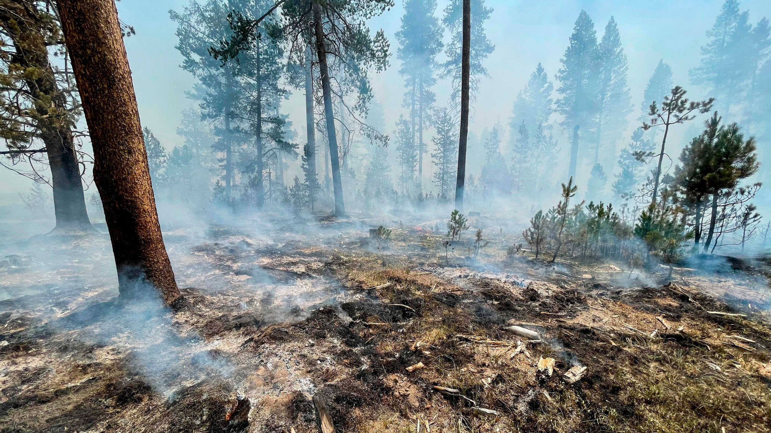 In this photo provided by the Bootleg Fire Incident Command, the Bootleg Fire is seen smoldering in southern Oregon, Saturday, July 17, 2021. The destructive Bootleg Fire, one of the largest in modern Oregon history, has already burned more than 476 square miles (1,210 square kilometers), an area about the size of Los Angeles. Meteorologists predicted critically dangerous fire weather through at least Monday with lightning possible in both California and southern Oregon. (Bootleg Fire Incident Command via AP)