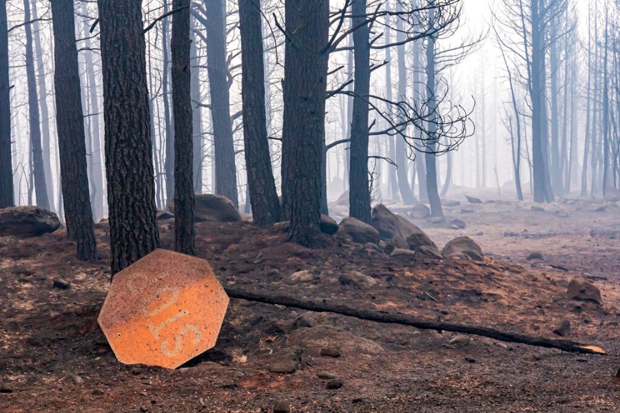 A sign damaged by the Bootleg Fire lies on the ground on Thursday, July 22, 2021, near Paisley, Ore. (AP Photo/Nathan Howard)