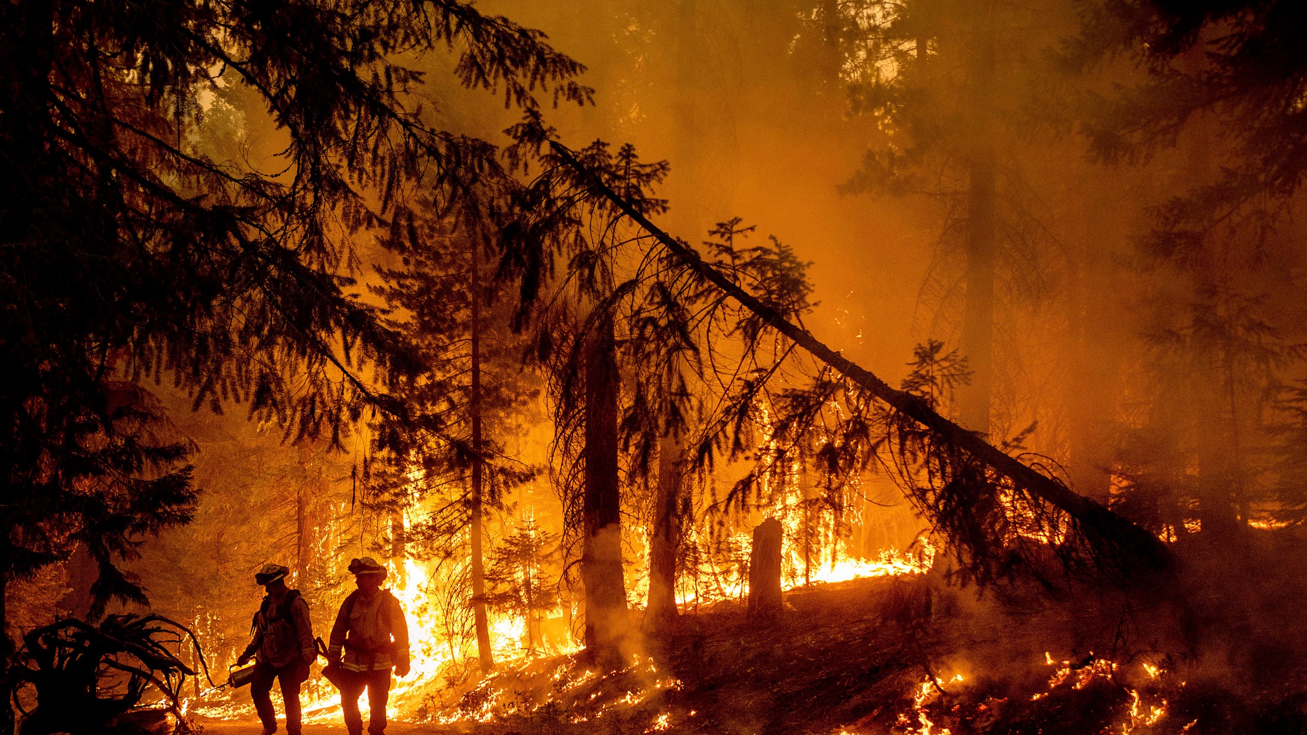 Firefighters light a backfire to stop the Dixie Fire from spreading near Prattville in Plumas County, Calif., on Friday, July 23, 2021. (AP Photo/Noah Berger)