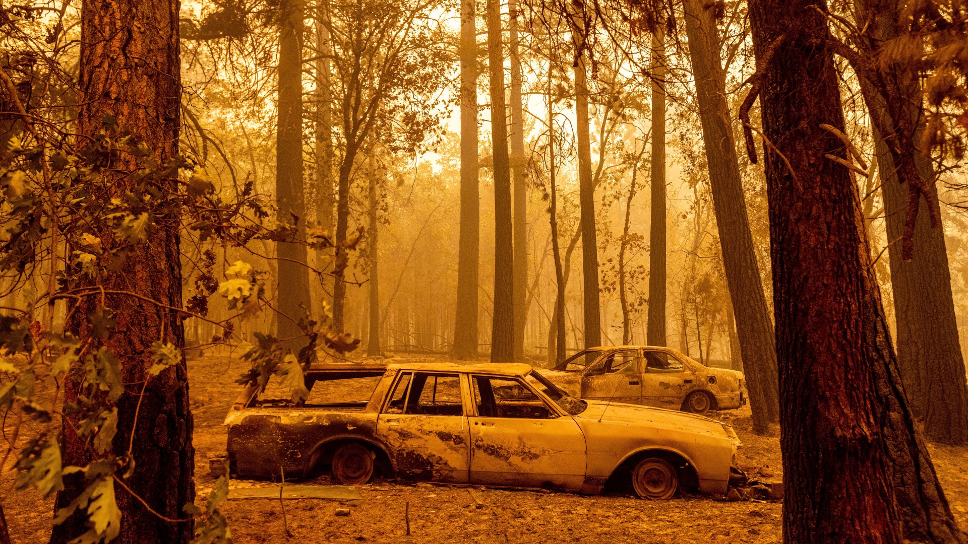 Following the Dixie Fire, scorched cars are seen in a clearing in the Indian Falls community of Plumas County, Calif., on Sunday, July 25, 2021. (AP Photo/Noah Berger)