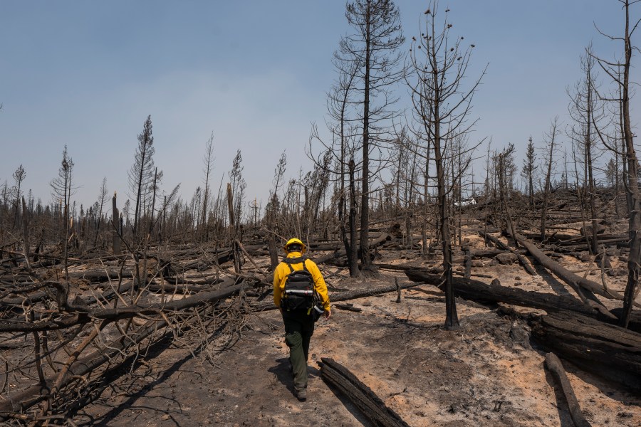 Marcus Kauffman, public information officer working on the Bootleg Fire, walks through burn damage July 23, 2021, near Paisley, Ore. (AP Photo/Nathan Howard)