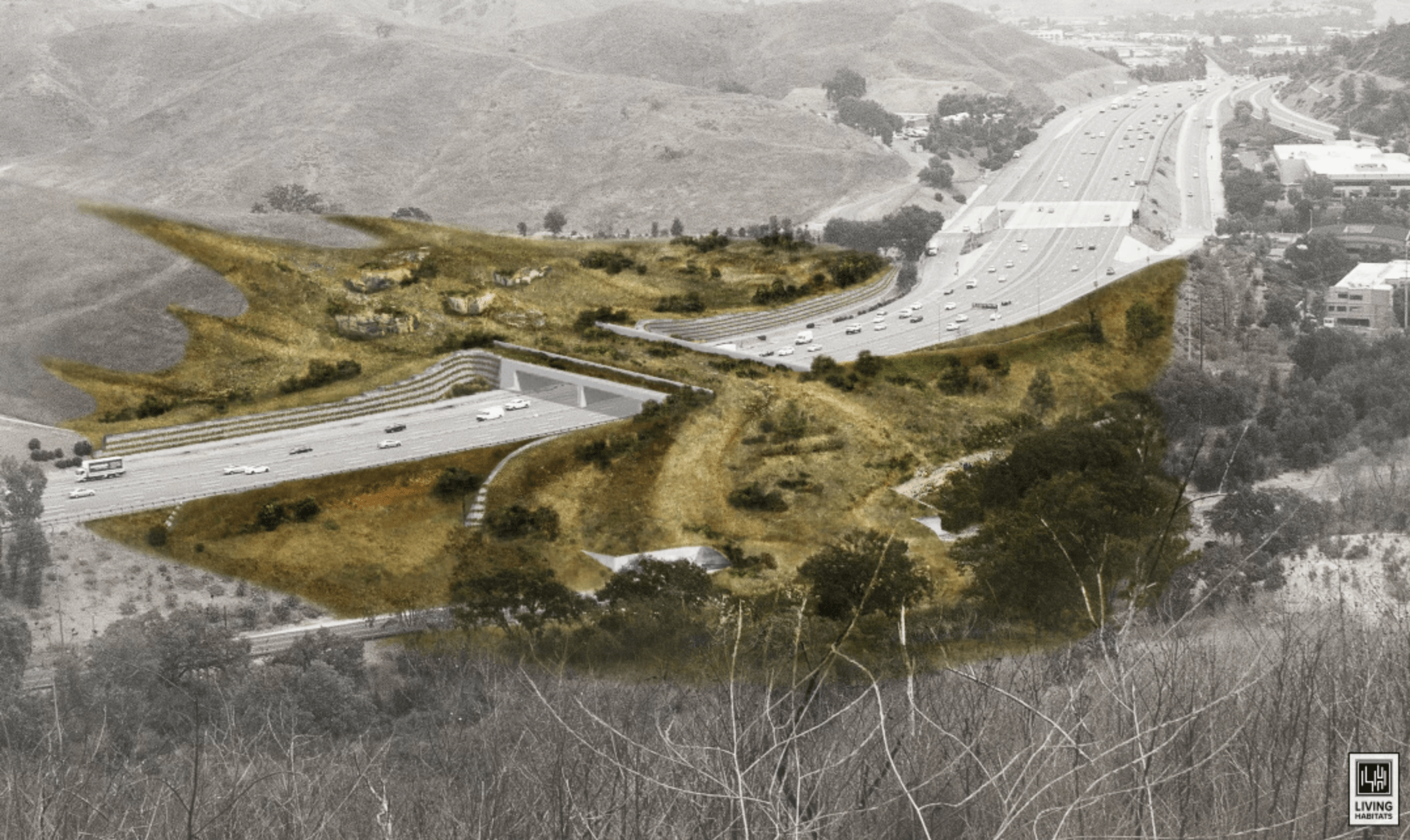 Artist rendering of a proposed $87-million mountain lion bridge spanning the 101 Freeway in Agoura Hills.(National Wildlife Federation / Living Habitats)