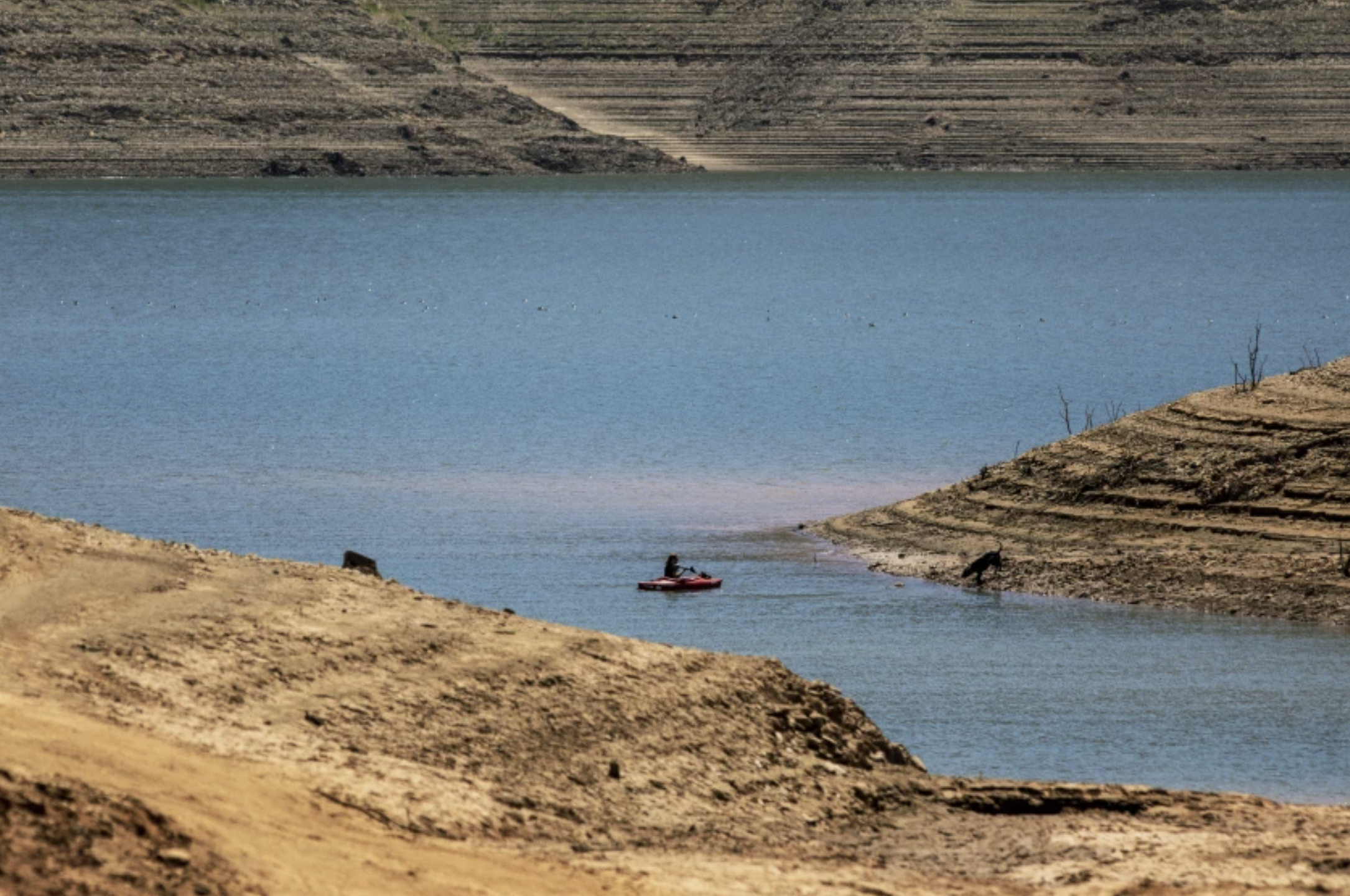 A kayaker on the water at Lake Oroville, which was 33% full when this photograph was taken on June 29 in Oroville, Calif.(Brian van der Brug/Los Angeles Times)