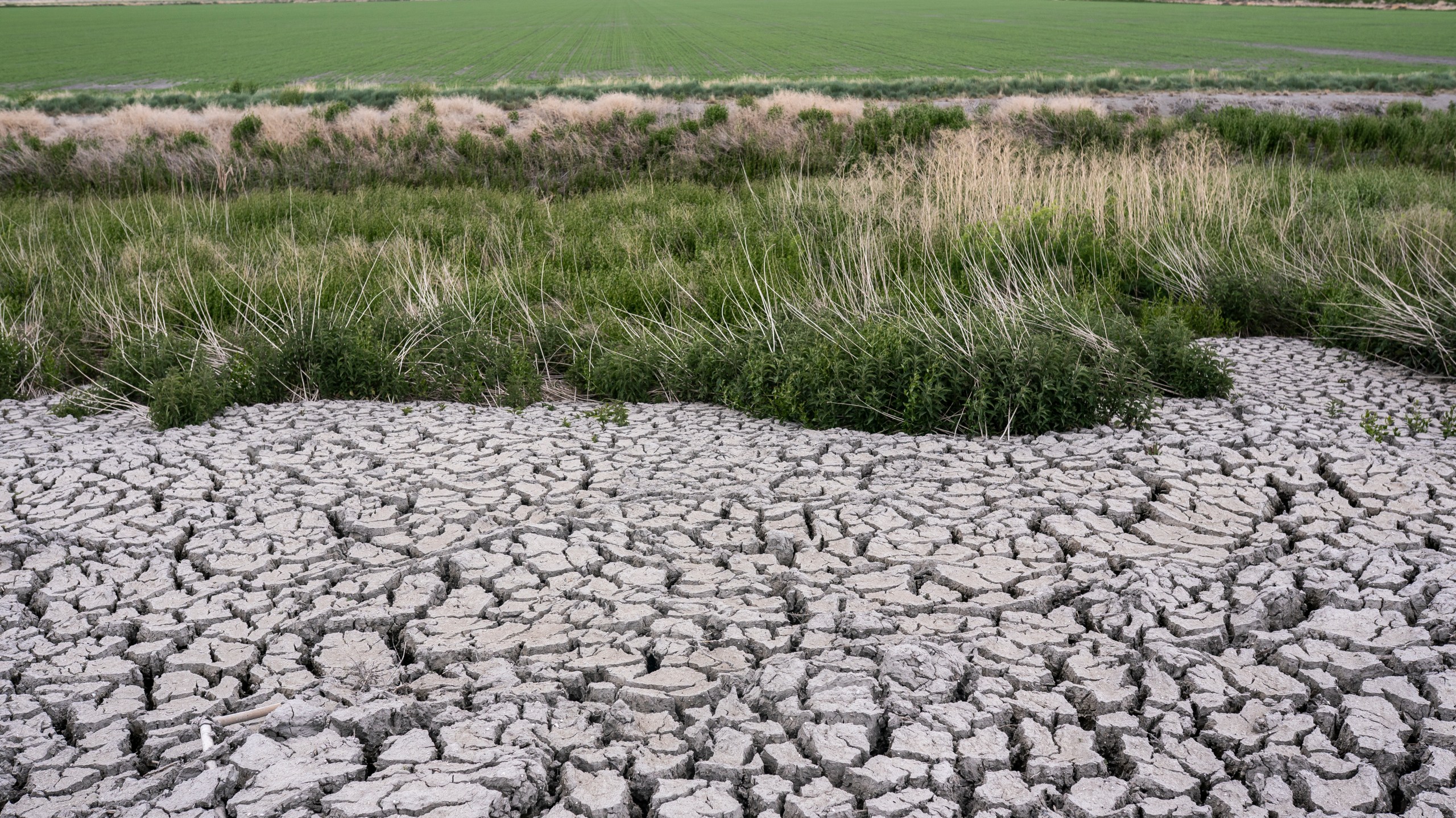 In this June 9, 2021, file photo, the dried, cracked earth of a former wetland that was drained in an effort to prevent an outbreak of avian botulism which occurs in Tulelake, Calif. (AP Photo/Nathan Howard, File)