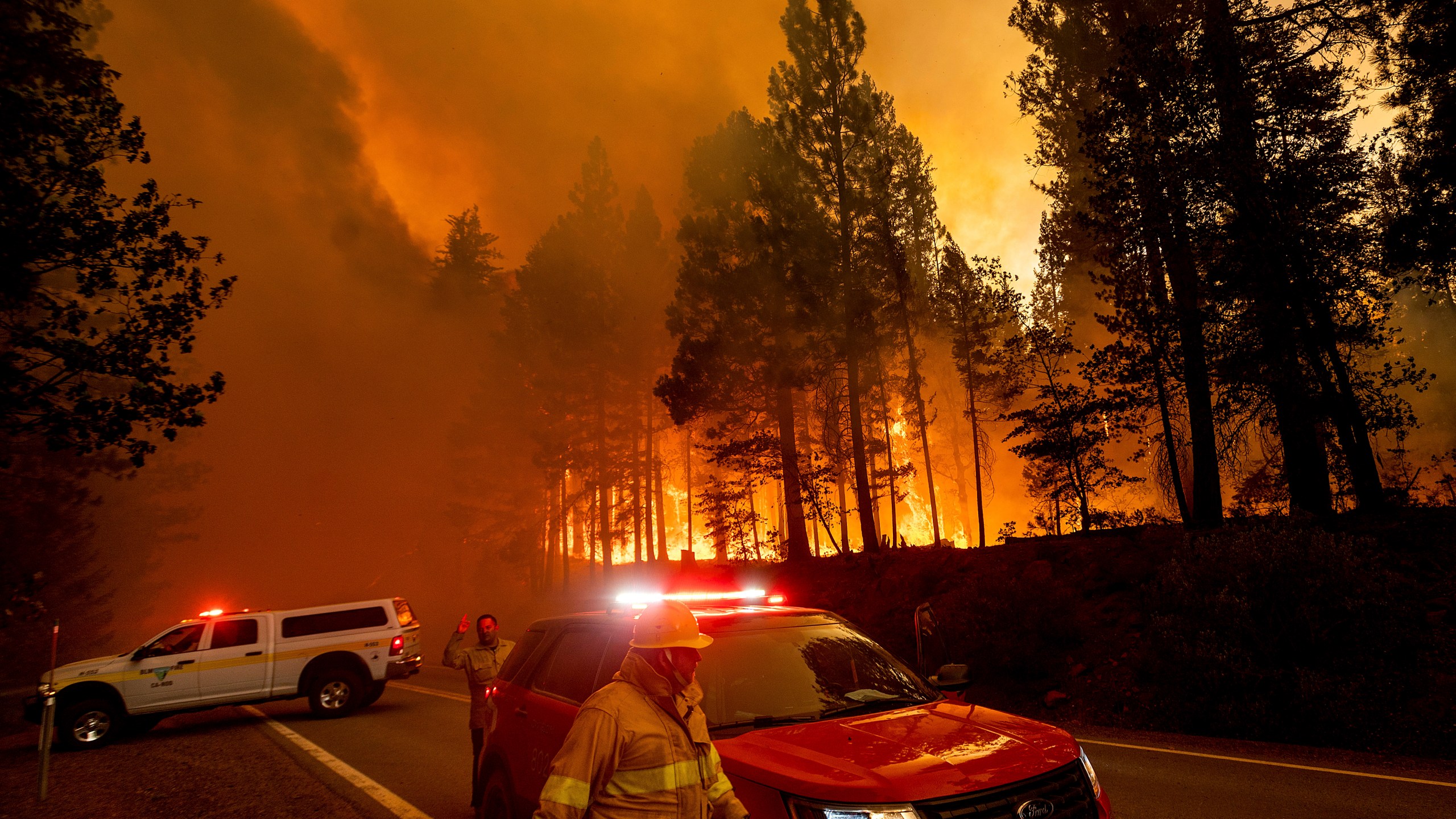 Flames leap from trees as the Dixie Fire jumps Highway 89 north of Greenville in Plumas County, Calif., on Tuesday, Aug. 3, 2021. Dry and windy conditions have led to increased fire activity as firefighters battle the blaze which ignited July 14. (AP Photo/Noah Berger)