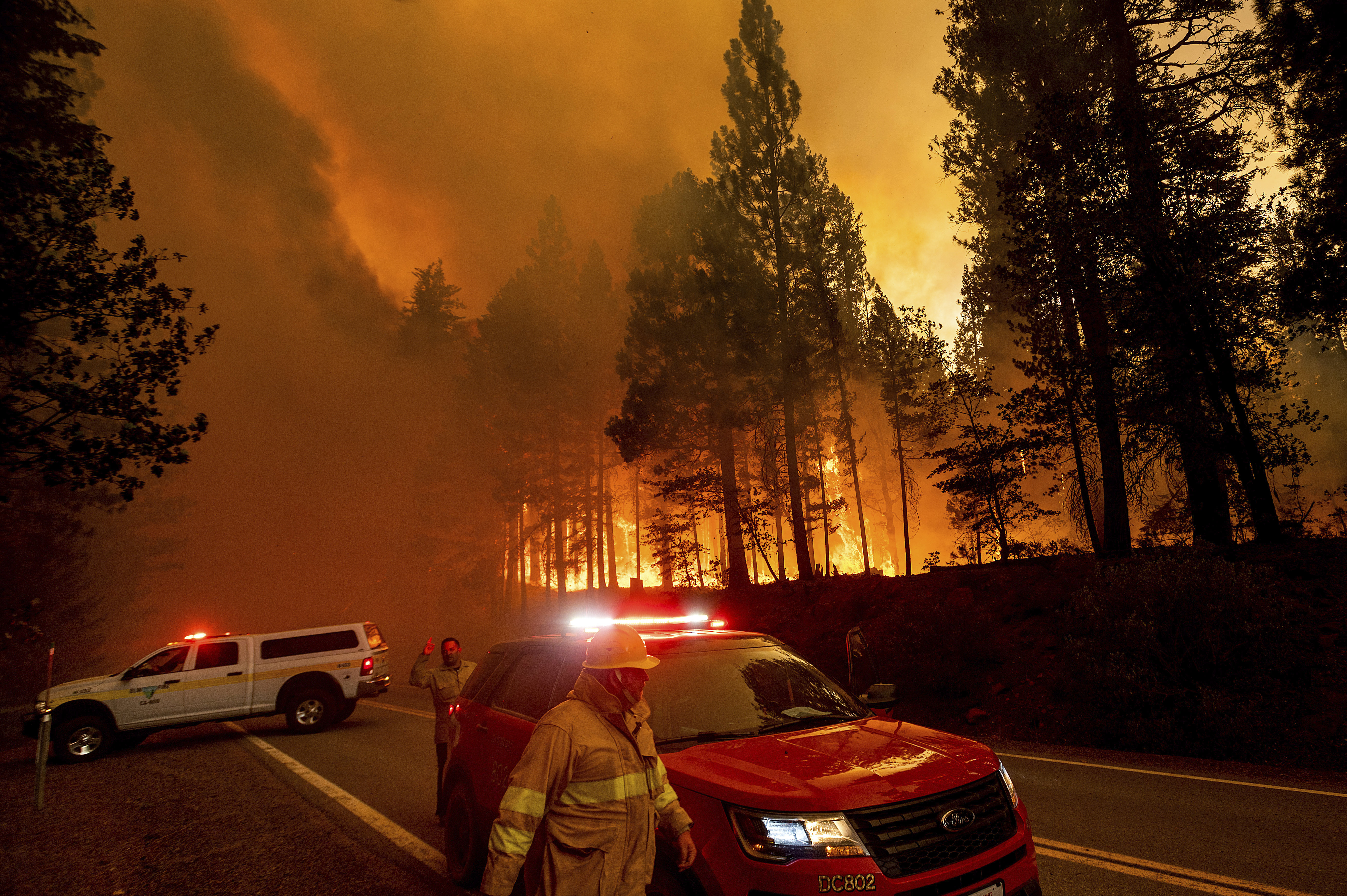 Flames leap from trees as the Dixie Fire jumps Highway 89 north of Greenville in Plumas County, Calif., on Tuesday, Aug. 3, 2021. Dry and windy conditions have led to increased fire activity as firefighters battle the blaze which ignited July 14. (AP Photo/Noah Berger)