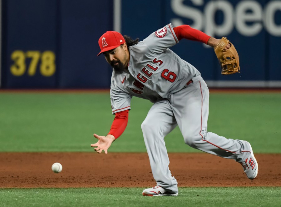 In this June 25, 2021, file photo, Los Angeles Angels third baseman Anthony Rendon reaches for a ball that went for an infield base hit by Tampa Bay Rays ' Kevin Kiermaier during the sixth inning of a game in St. Petersburg, Fla. (Steve Nesius/Associated Press)