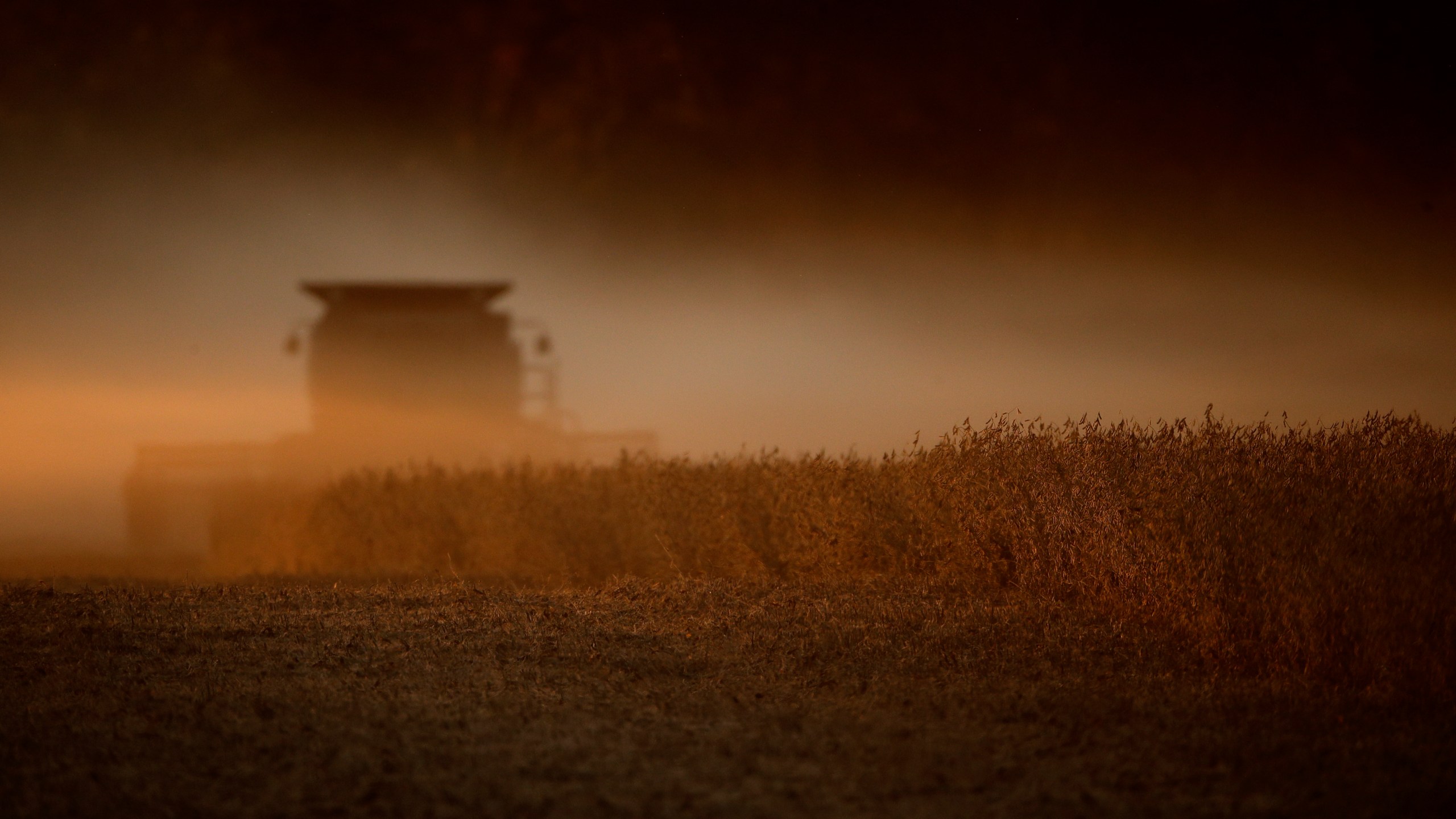 In this Oct. 19, 2019, file photo soybeans are harvested near Wamego, Kan. The Biden administration said on Aug. 18, 2021, that it was banning use of chlorpyrifos, a widely used pesticide long targeted by environmentalists because it poses risks to children and farm workers. (AP Photo/Charlie Riedel, File)