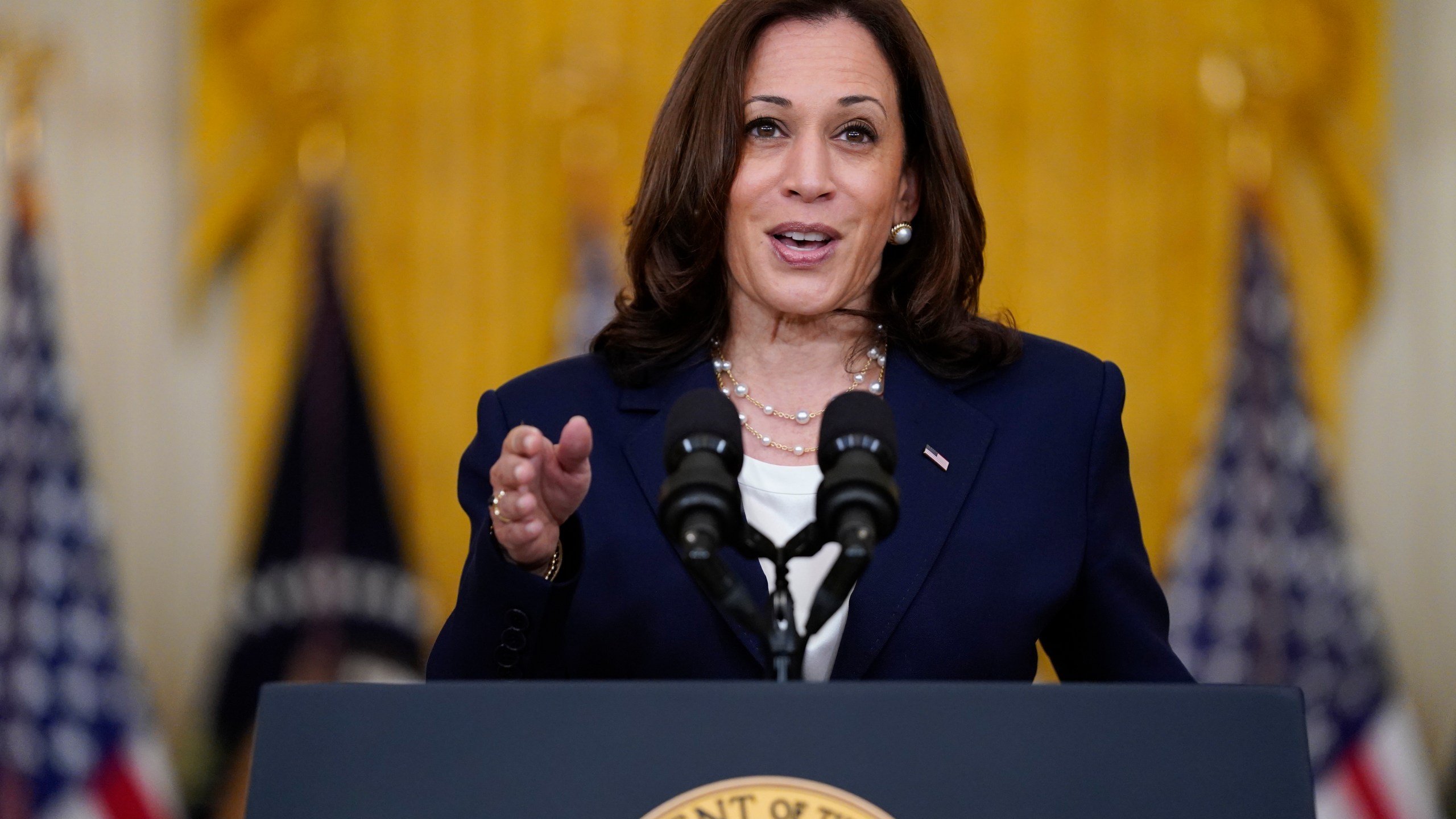 In this Aug. 10, 2021, file photo, Vice President Kamala Harris speaks from the East Room of the White House in Washington. (AP Photo/Evan Vucci, File)