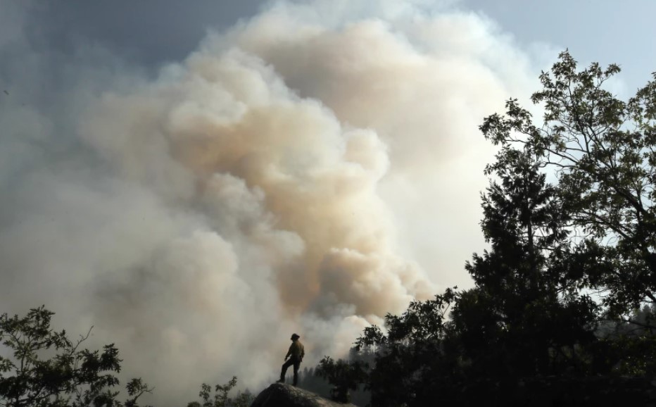 A firefighter is dwarfed by the plume of the Dixie fire in Northern California, which was at more than 725,000 acres and 40% containment as of Aug. 23, 2021. (Luis Sinco / Los Angeles Times)