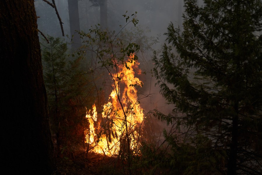 A spot fire burns from the Caldor Fire along the Mormon Emigrant Trail on Aug. 19, 2021 in Pollock Pines, California. (Allison Dinner/Getty Images)