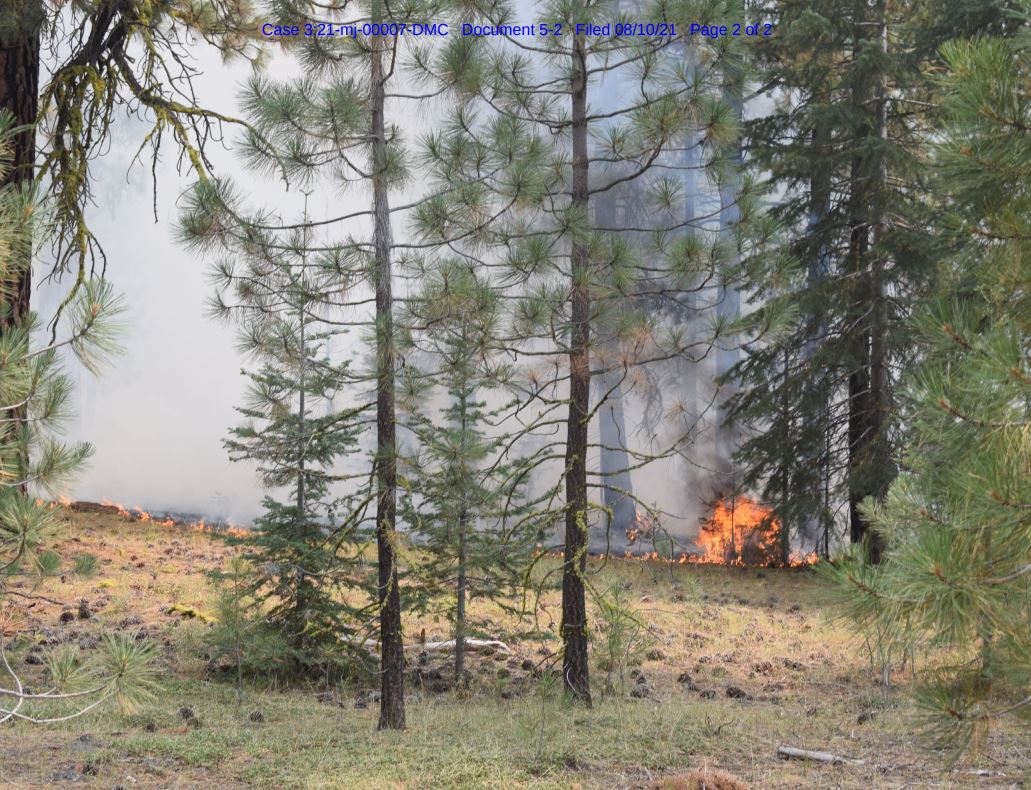 The Ranch Fire in Lessen County, one of several fires Gary Maynard is accused by federal officials of setting, is pictured. (U.S. Forest Service)