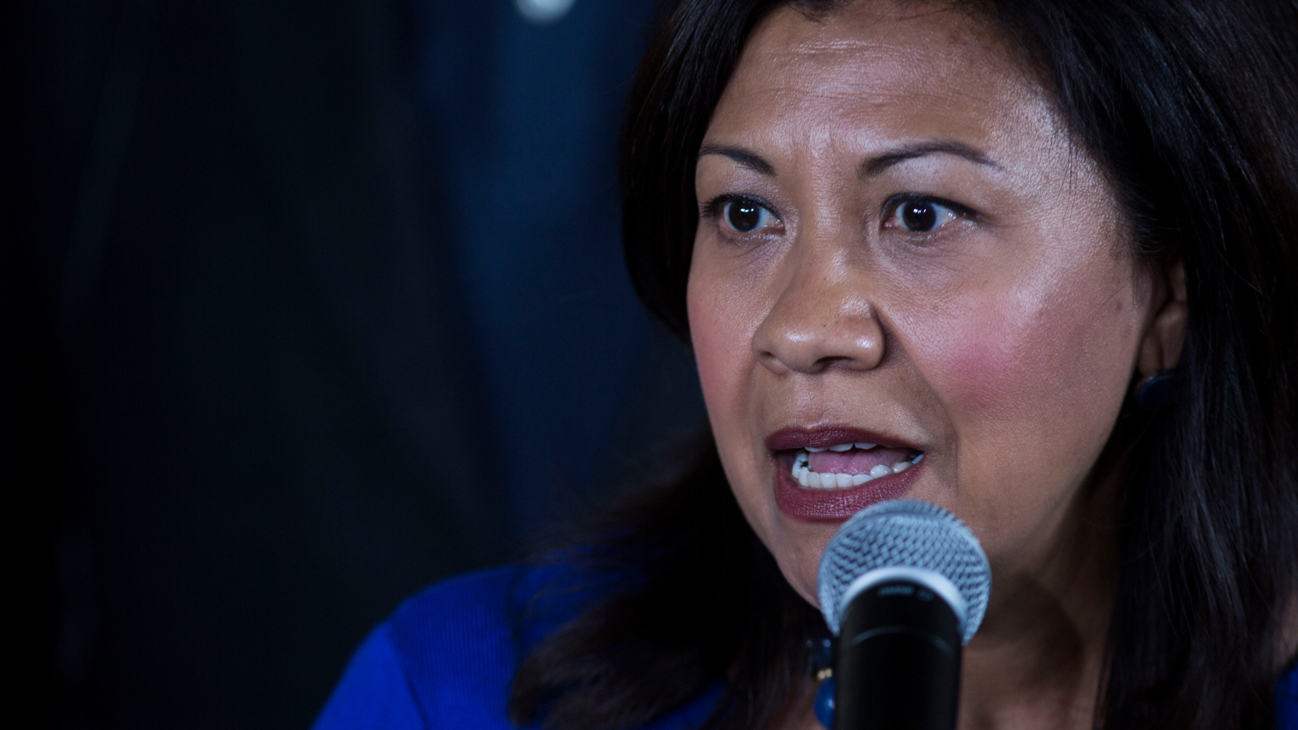 U.S. Rep. Norma Torres, D-Calif. speaks during a news conference on Aug. 8, 2019. (Oliver de Ros/Associated Press)