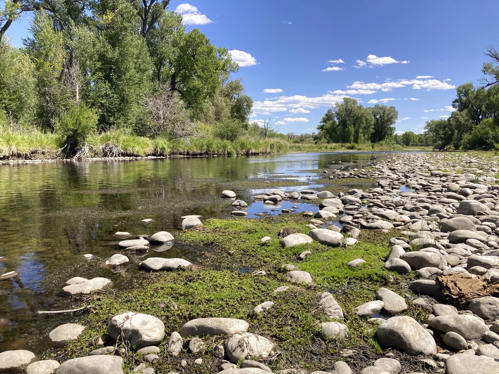 Exposed rocks and aquatic plants are seen alongside the North Platte River at Treasure Island in southern Wyoming, on Tuesday,Aug. 24, 2021. (AP Photo/Mead Gruver)