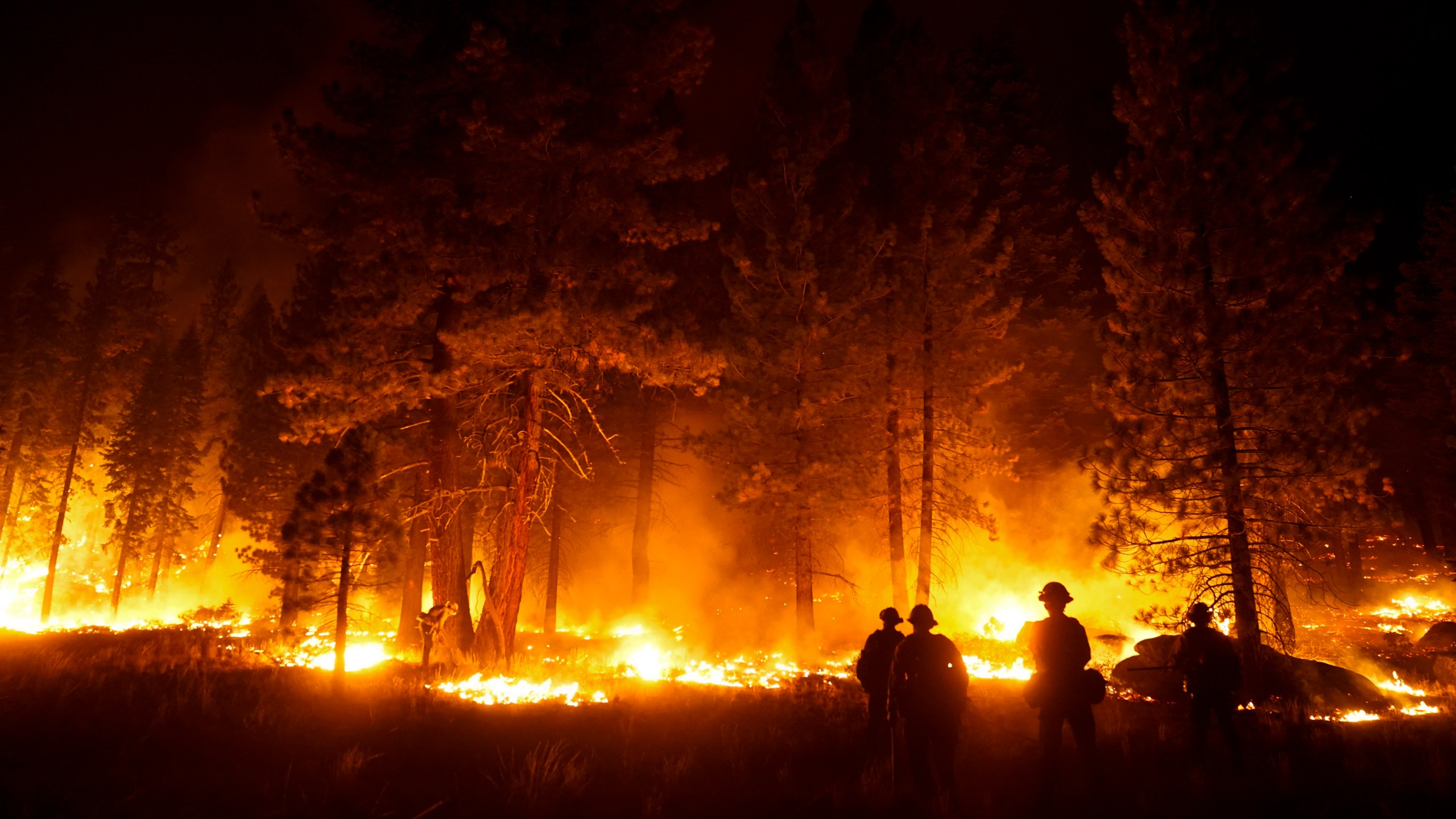 In this Sept. 1, 2021, file photo, a firefighter lights a backfire to stop the Caldor Fire from spreading near South Lake Tahoe, Calif. An unidentified firefighter has died of an illness while assigned to one of California's largest wildfires, authorities said Sunday, Sept. 5, 2021, marking the first death in a season that has seen blazes destroy thousands of buildings and force entire towns to flee. Edwin Zuniga with the California Department of Forestry and Fire Protection said he couldn't provide other details on the death. (AP Photo/Jae C. Hong, File)