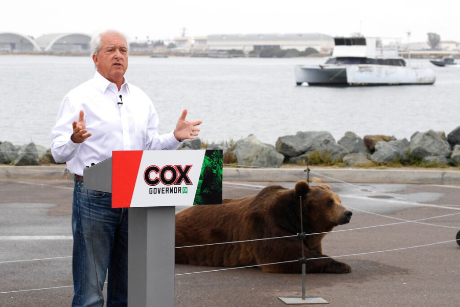 In this May 11, 2021, file photo, California gubernatorial candidate John Cox speaks in front of his Kodiak bear at a campaign event held on Shelter Island in San Diego. (AP Photo/Denis Poroy, File)