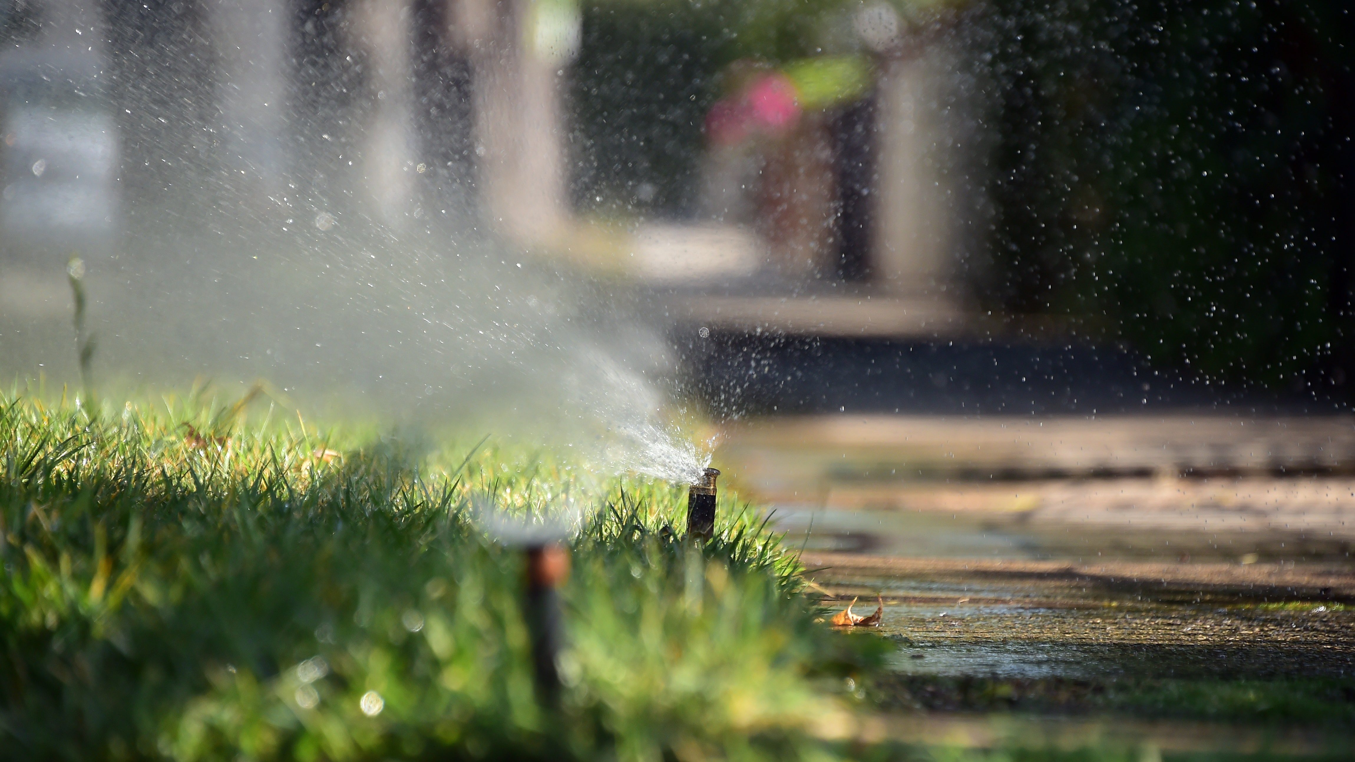 Sprinklers water a patch of grass on the sidewalk in front of a house in Alhambra on July 25, 2014. (Frederic J. Brown / AFP / Getty Images)