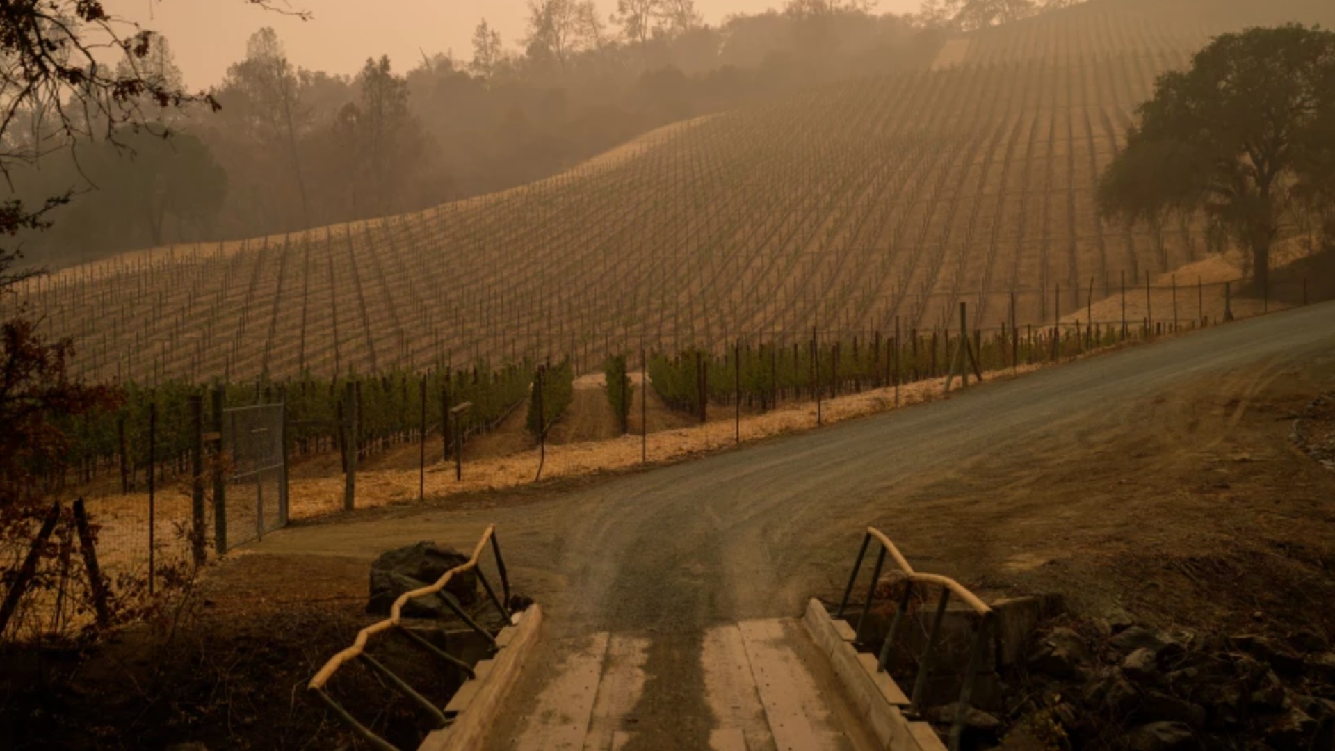 Somerston Estate Winery & Vineyards in St. Helena Calif., seen above on Sept. 30, 2020, was among the many wineries that did not produce a 2020 vintage due to the wildfire season.(Kent Nishimura / Los Angeles Times)