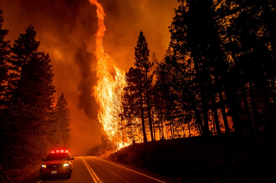 In this Aug. 3, 2021, file photo, flames leap from trees as the Dixie Fire jumps Highway 89 north of Greenville in Plumas County, Calif. Each year thousands of acres of dense timber are thinned near remote communities, all designed to slow the spread of massive wildfires. While most scientific studies find such forest management is a valuable tool, environmental advocates say data from recent gigantic wildfires support their long-running assertion that efforts to slow wildfires have instead accelerated their spread. (AP Photo/Noah Berger, File)