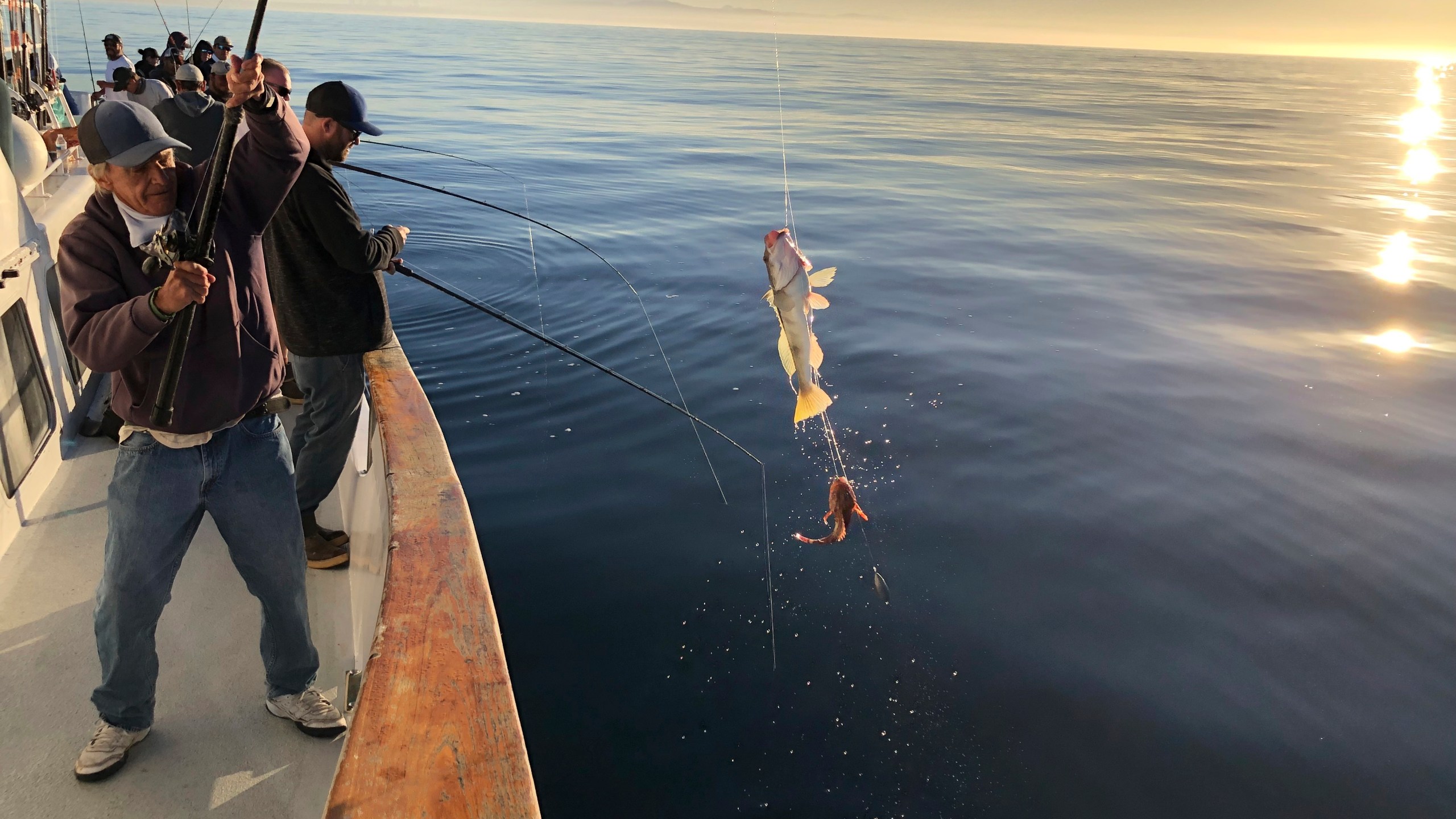 This photo provided by the California Department of Fish and Wildlife shows California state officials fishing to get samples they can test to determine if it is safe to resume fishing off the coast of California, Thursday, Oct. 28, 2021. Since an oil spill washed blobs of crude onto Southern California's coast, surfers have been allowed to return to the waves and people play in the surf. But fishermen still can't drop a line in the same waters.(California Department of Fish and Wildlife via AP)