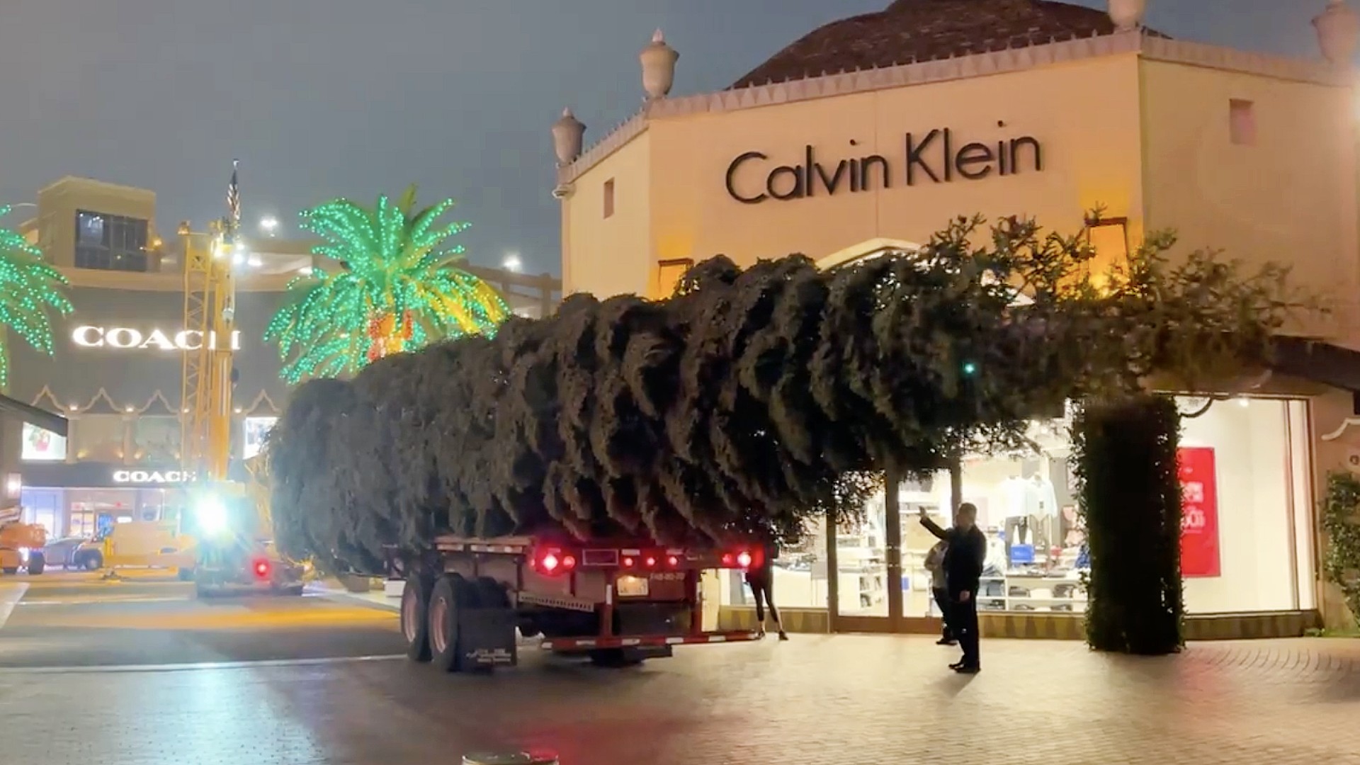 A 115-foot tall white fir arrives at Citadel Outlets on Oct. 22, 2021. (Citadel Outlets)