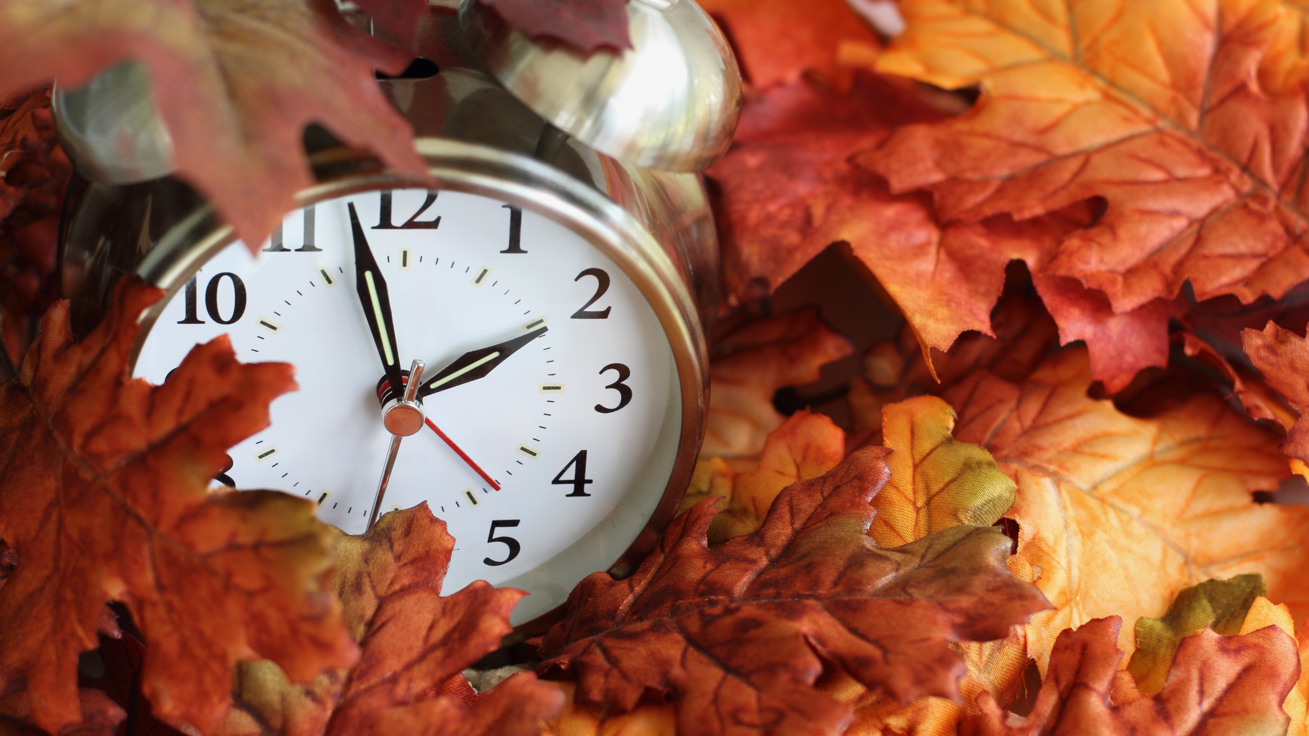 A vintage alarm clock is seen underneath colorful fallen autumn leaves. (iStock/Getty Images Plus)