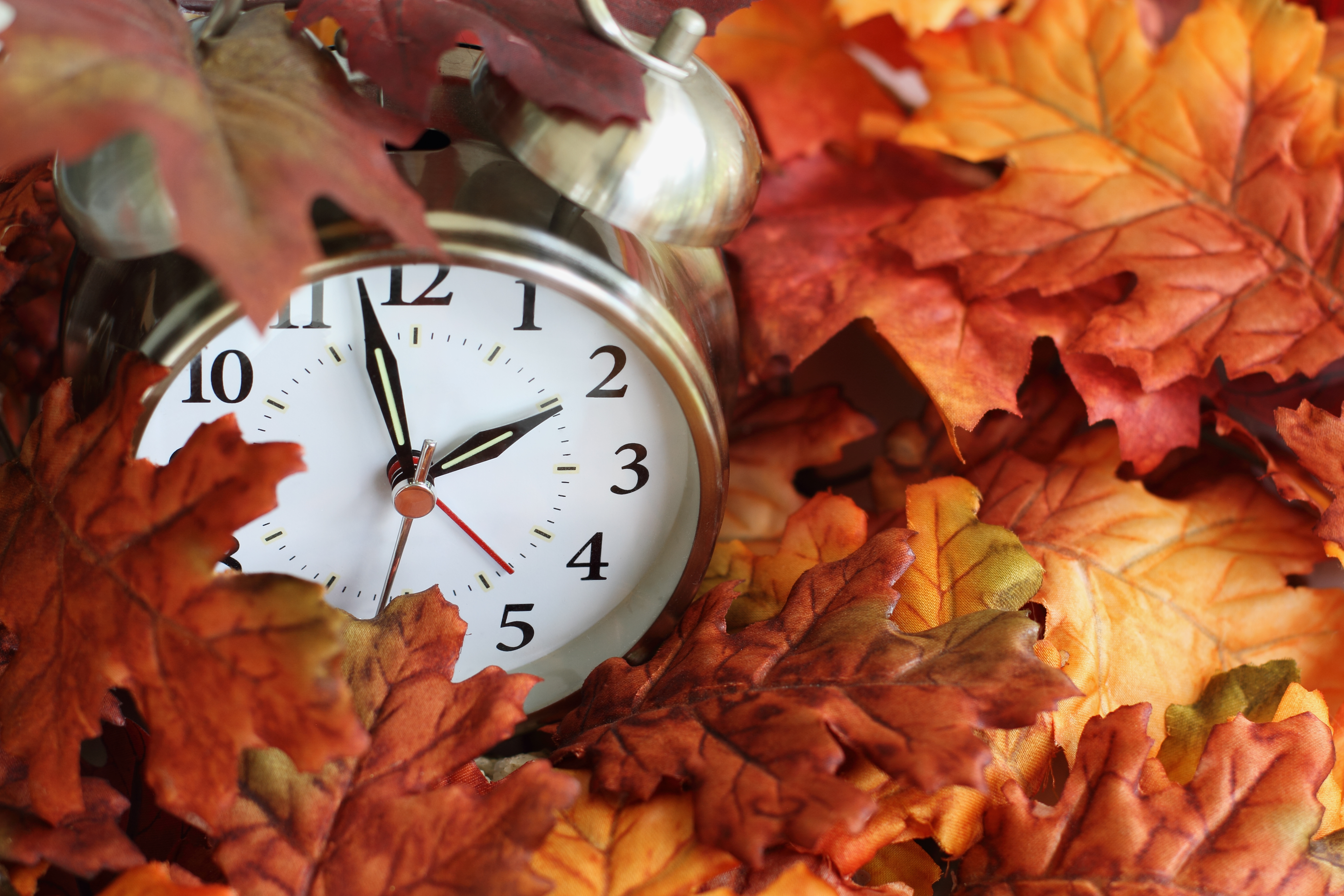 A vintage alarm clock is seen underneath colorful fallen autumn leaves. (iStock/Getty Images Plus)