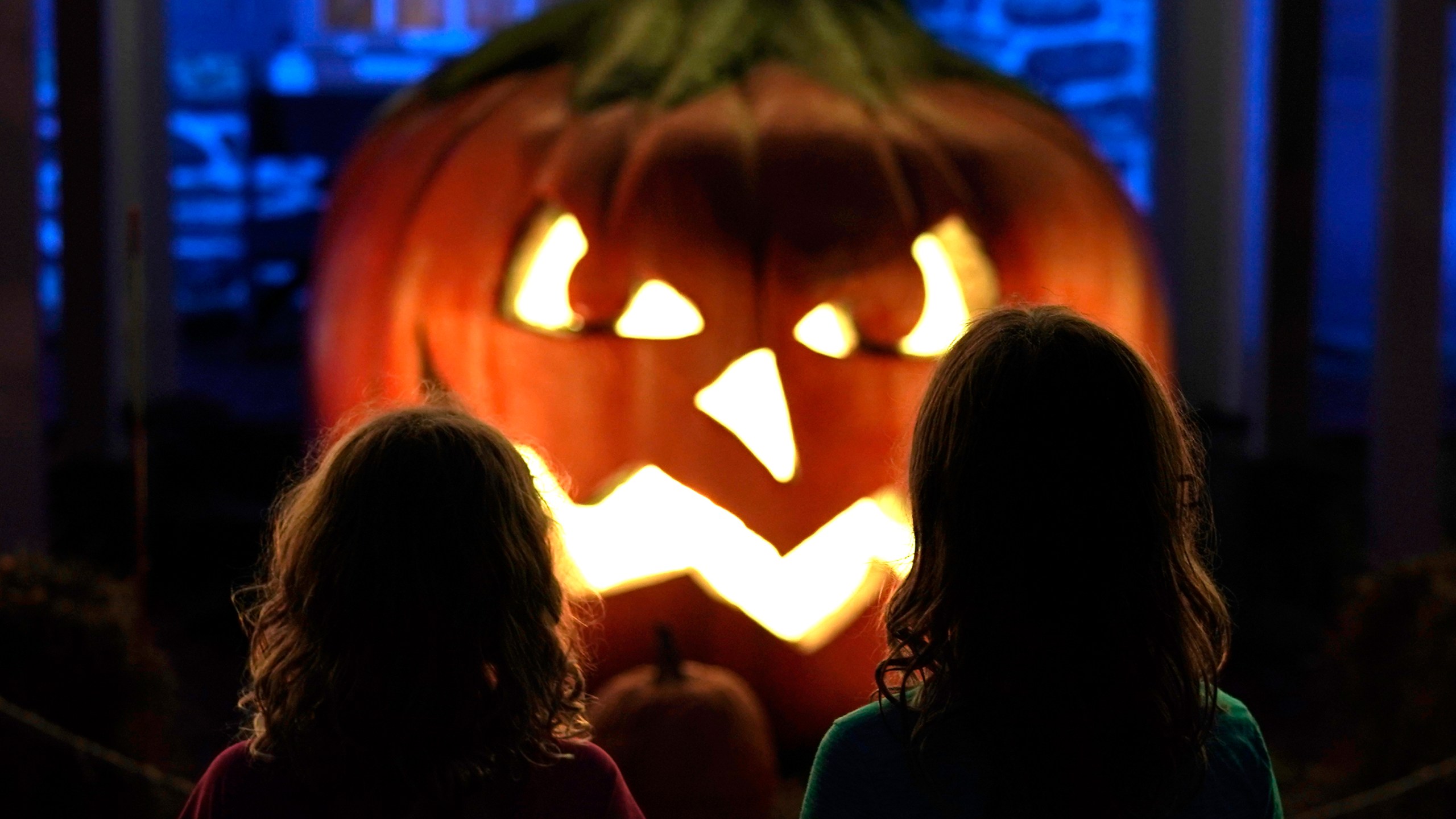 Halloween decorations are seen on display during the Great Jack OLantern Blaze in Croton-on-Hudson, New York on October 22, 2020, featuring over 7,000 hand-carved, illuminated pumpkins set against the mysterious backdrop of Van Cortlandt Manors 17th-century buildings and riverside landscape. (timothy A. Clary/AFP via Getty Images)