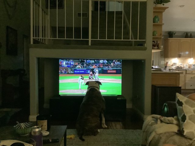 Twitter user @AndreaRestivo shared her Dodgers love with KTLA.