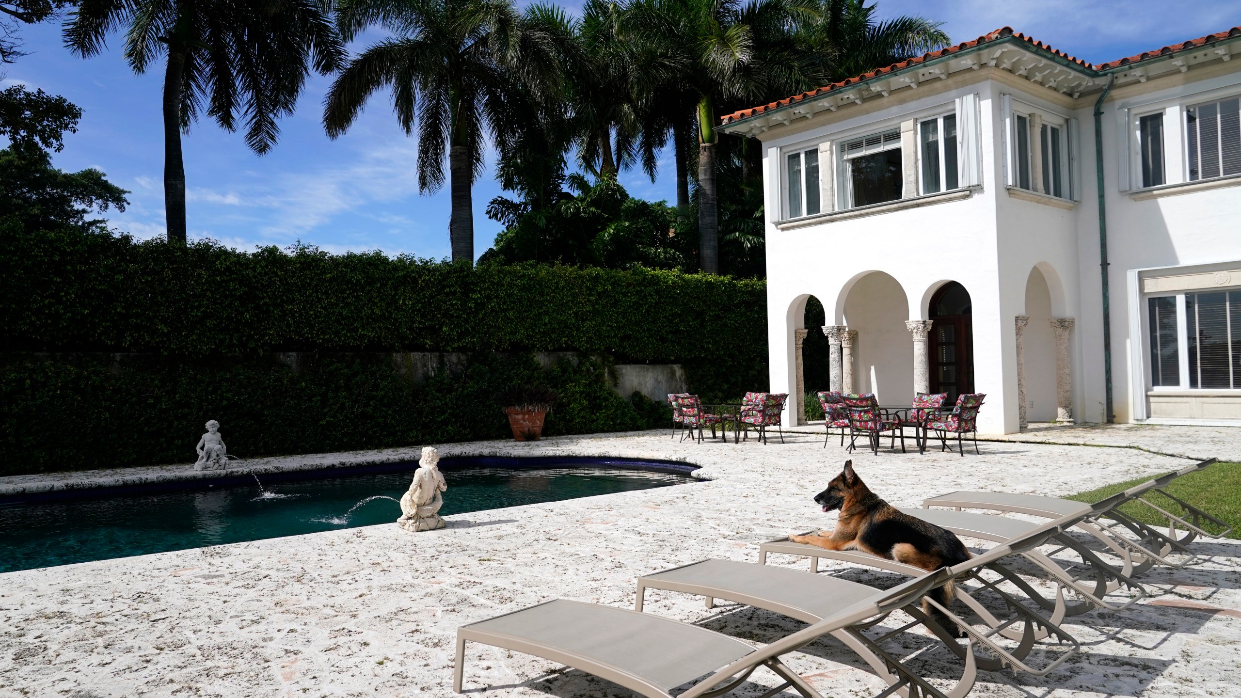 German Shepherd Gunther VI sits by the pool at a house formally owned by pop star Madonna, Monday, Nov. 15, 2021, in Miami. Gunther VI inherited his vast fortune, including the 9-bedroom waterfront home once owned by the Material Girl from his grandfather Gunther IV. The estate, purchased 20 years ago from the pop star, was listed for sale Wednesday. (AP Photo/Lynne Sladky)