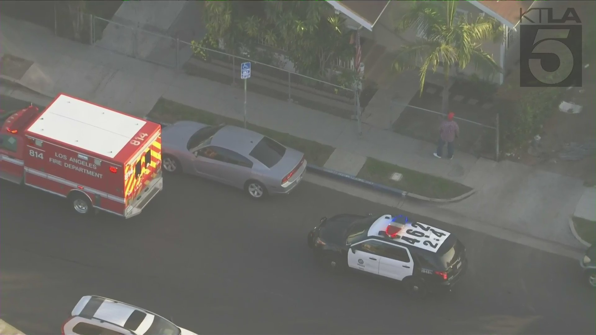 The Los Angeles Police and Fire departments were in Central-Alameda on Nov. 5, 2021, after an 11-year-old child was struck by a car. (KTLA)