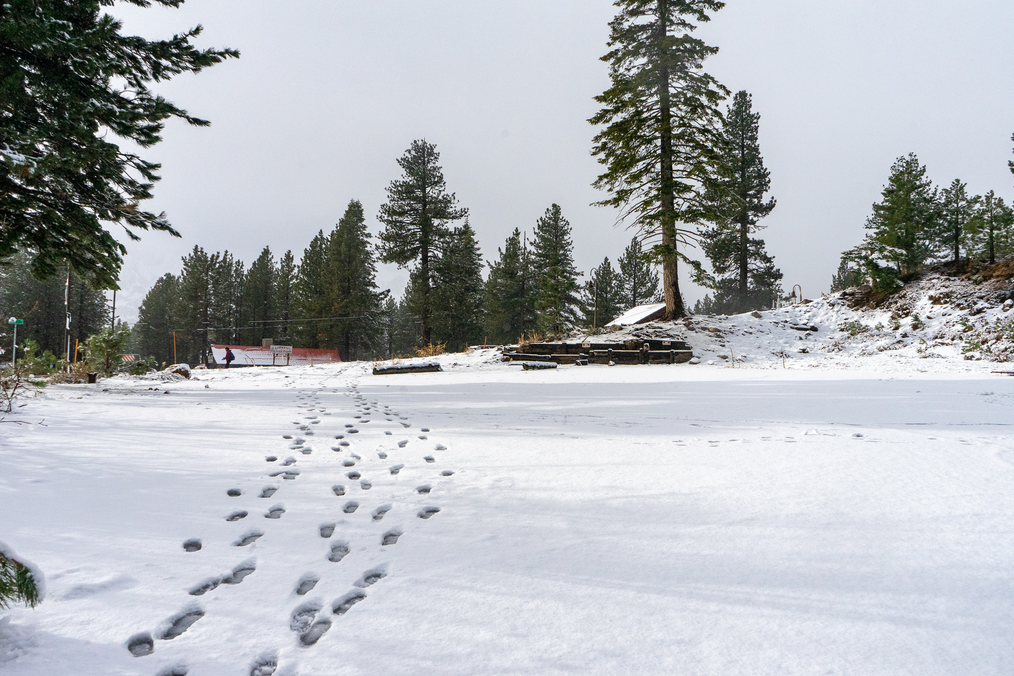 Fresh snow coated Mammoth on Nov. 9, 2021. (Mammoth Lakes Tourism)