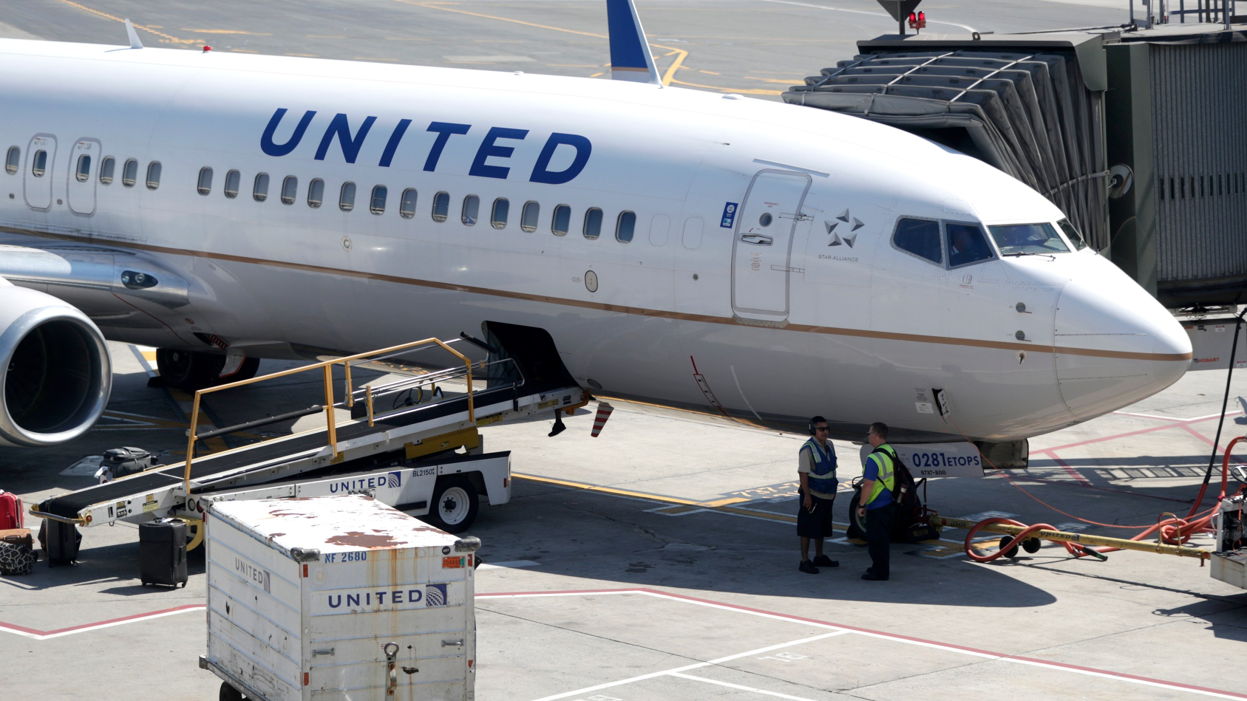 In this July 18, 2018, file photo a United Airlines commercial jet sits at a gate at Terminal C of Newark Liberty International Airport in Newark, N.J. (AP Photo/Julio Cortez, File)