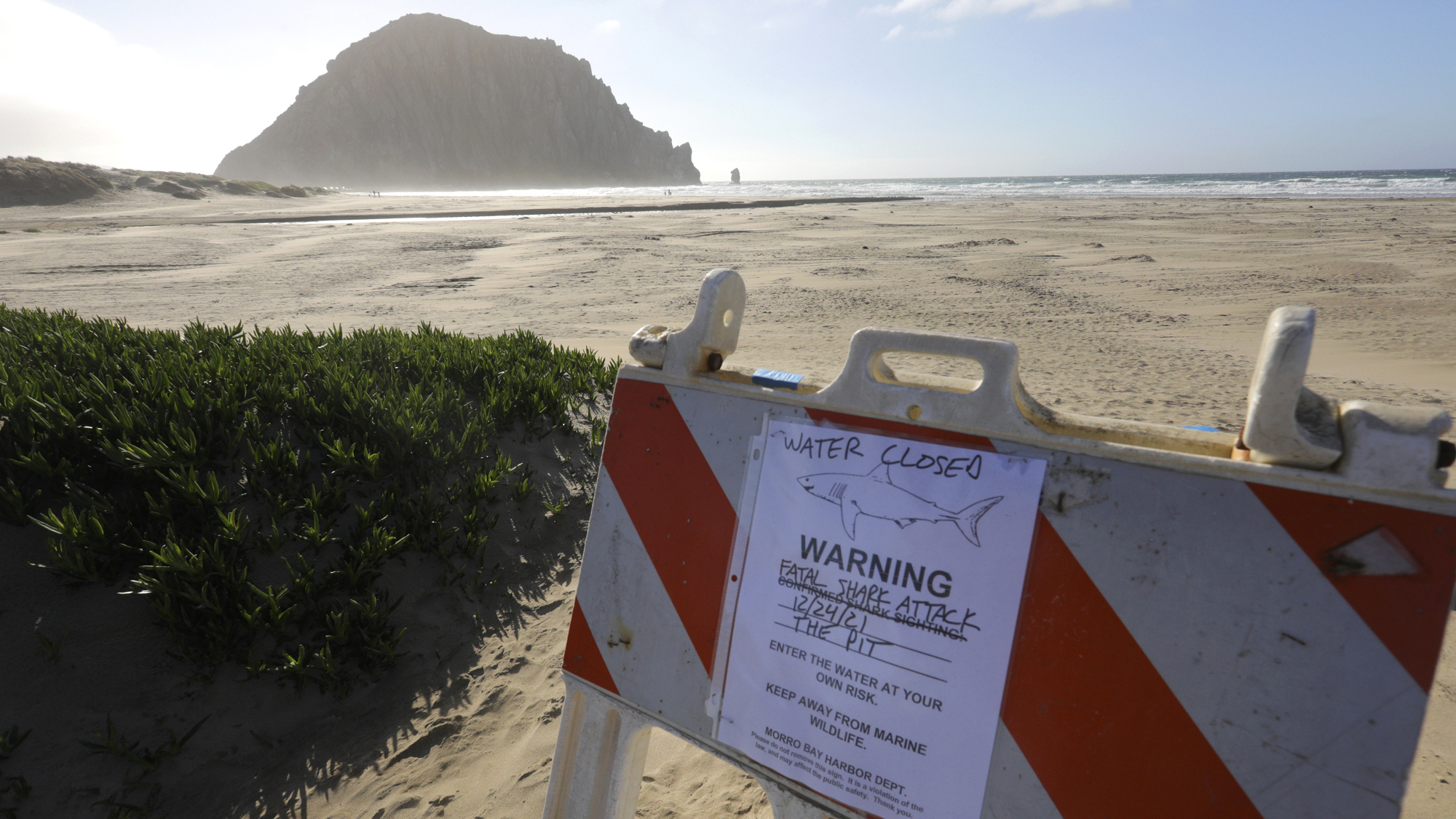 A sign on a parking lot announces a beach closure Friday, Dec. 24, 2021, in Morro Bay, Calif. A surfer was killed in an apparent shark attack on Christmas Eve off the central coast of California, authorities said. (David Middlecamp/The Tribune (of San Luis Obispo) via AP)