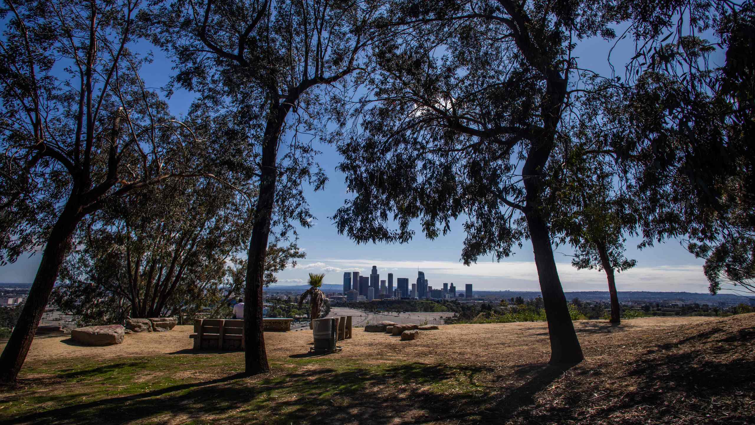 The Downtown Los Angeles skyline is seen from Elysian Park on March 21, 2020. (APU GOMES/AFP via Getty Images)